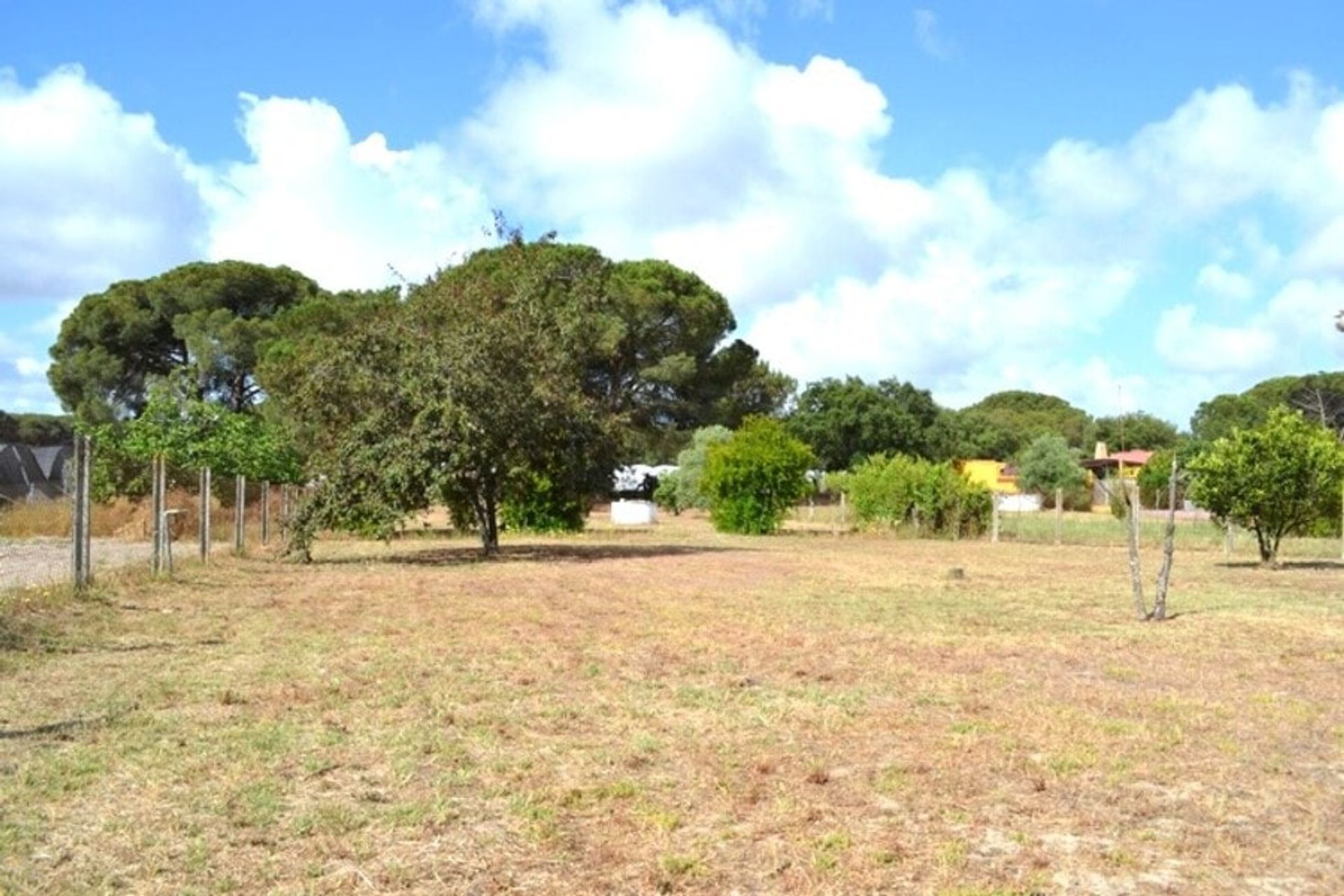 Huis in Bonares, Andalucía 10971486