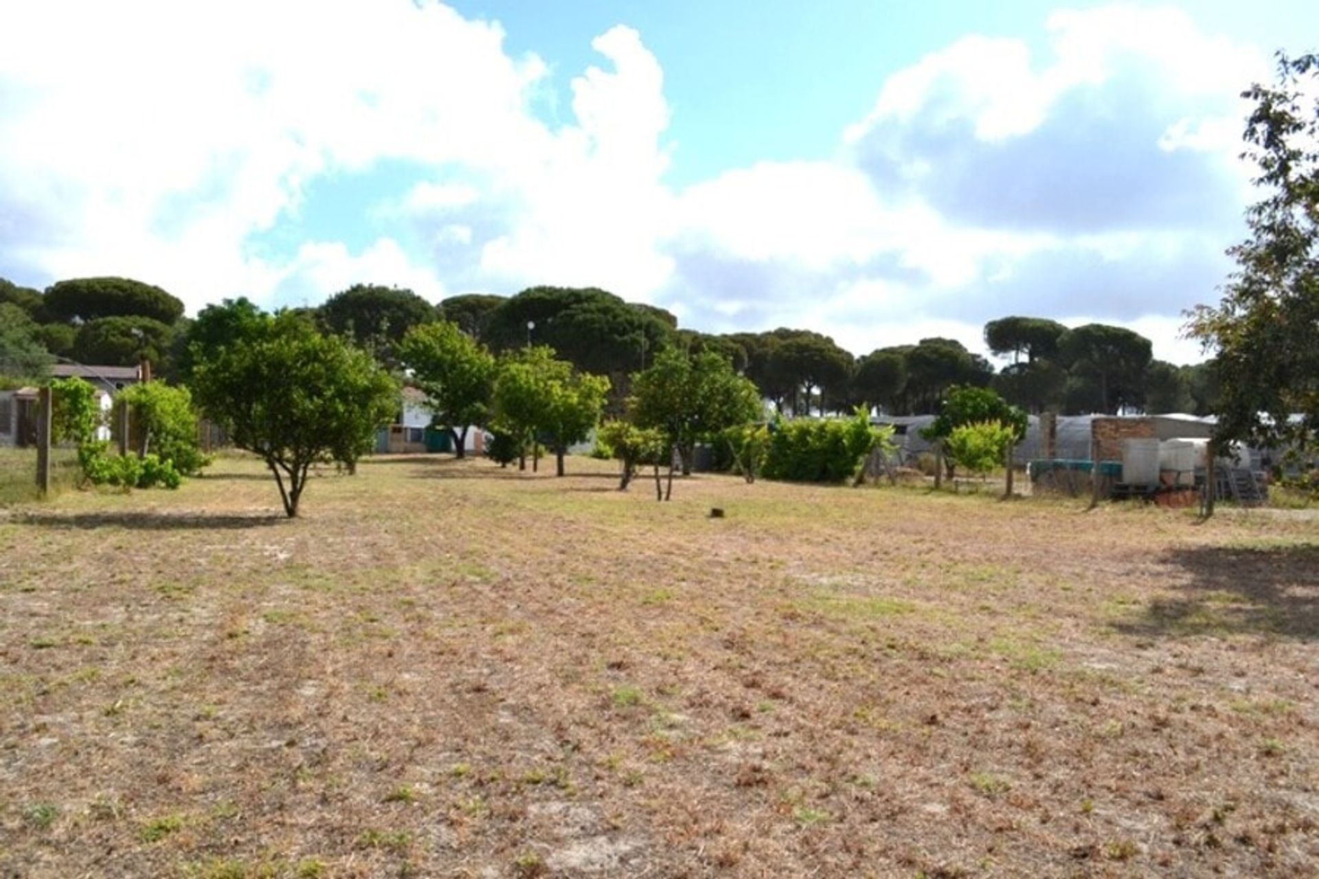 Huis in Bonares, Andalucía 10971486