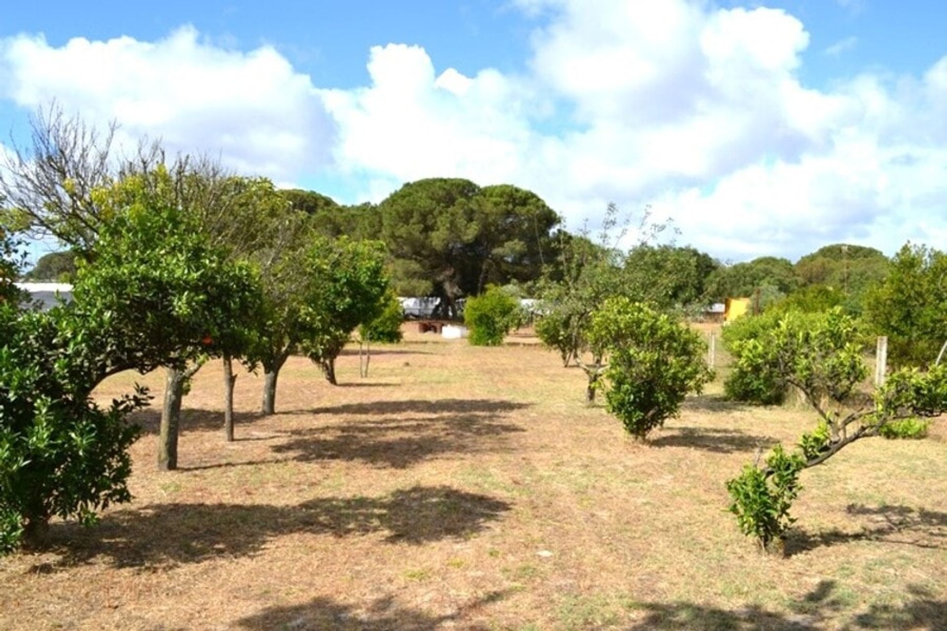 rumah dalam Bonares, Andalusia 10971486