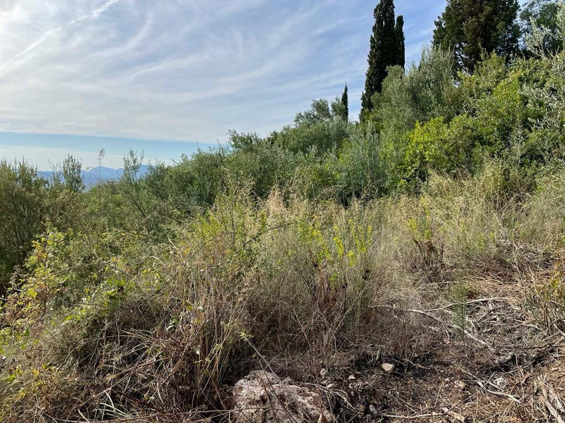 Land in Agios Vasilios,  10971886