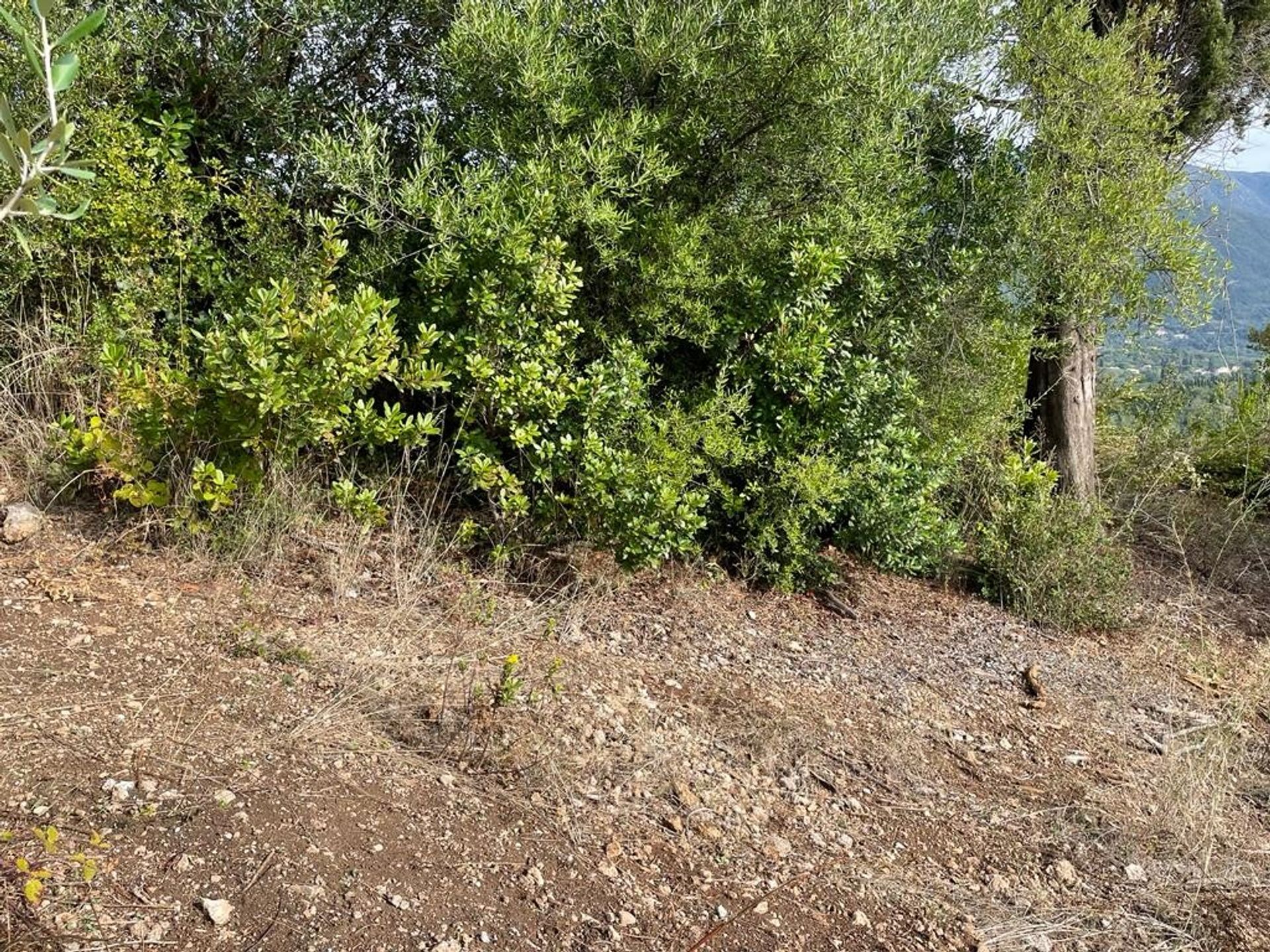 Land in Agios Vasilios,  10971886