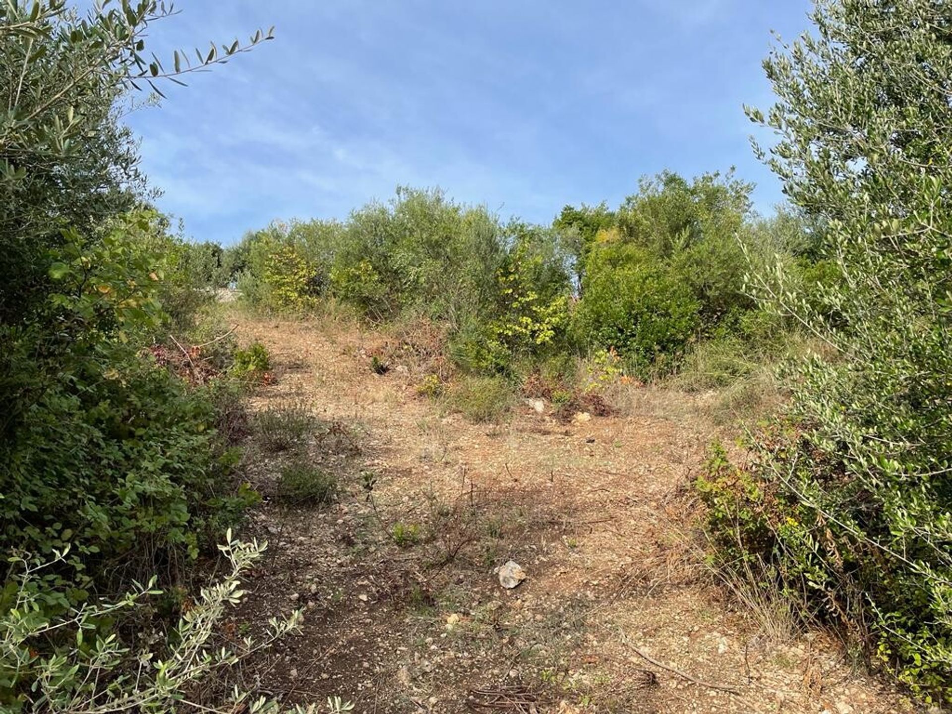 Land in Agios Vasilios,  10971886