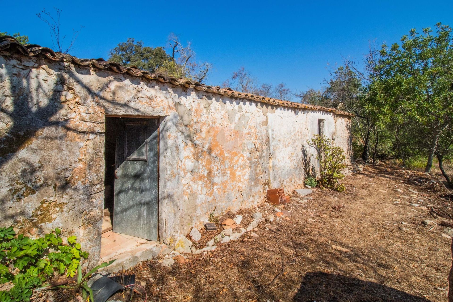 Land in Loulé, Faro District 10972301