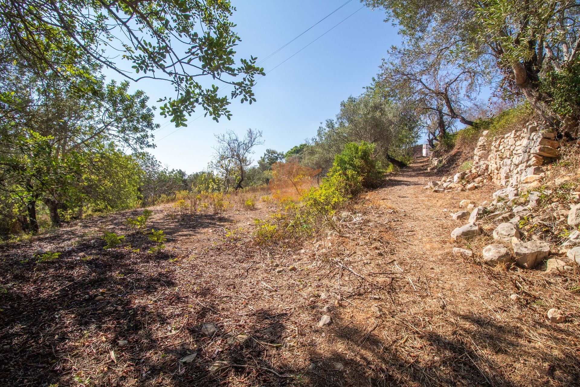 Land in Loulé, Faro District 10972301