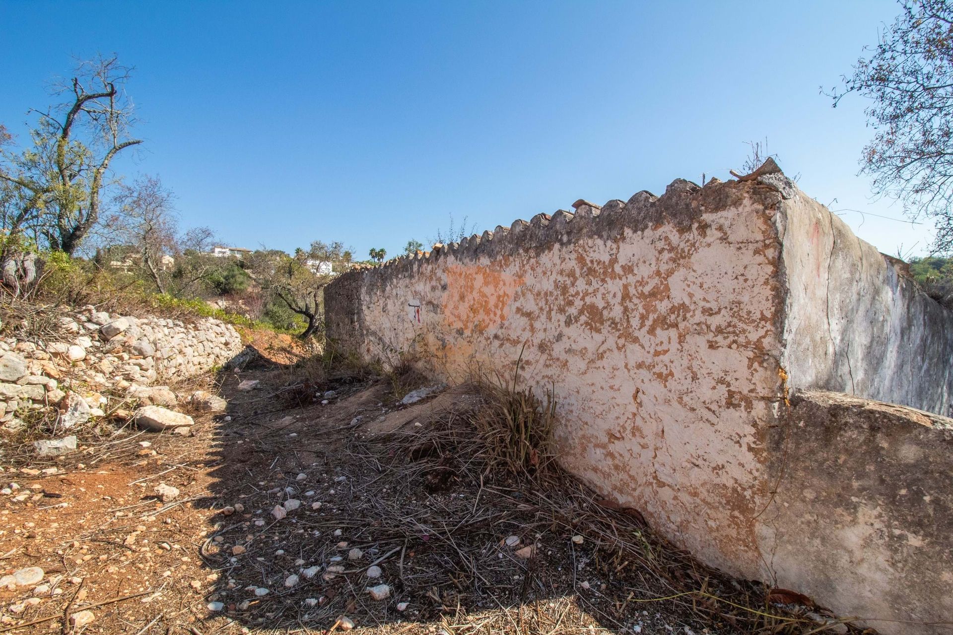 Земельные участки в Loulé, Faro District 10972301