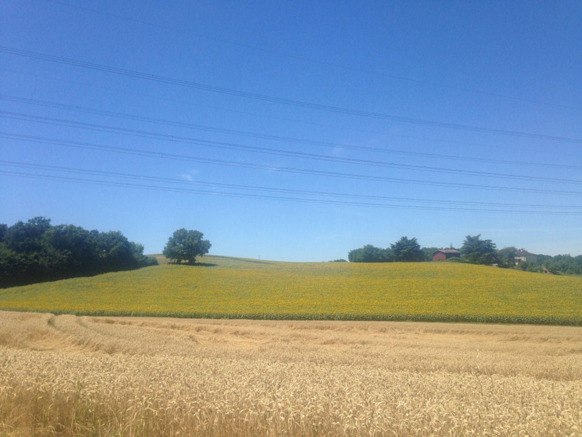 بيت في Labretonie, Nouvelle-Aquitaine 10975547