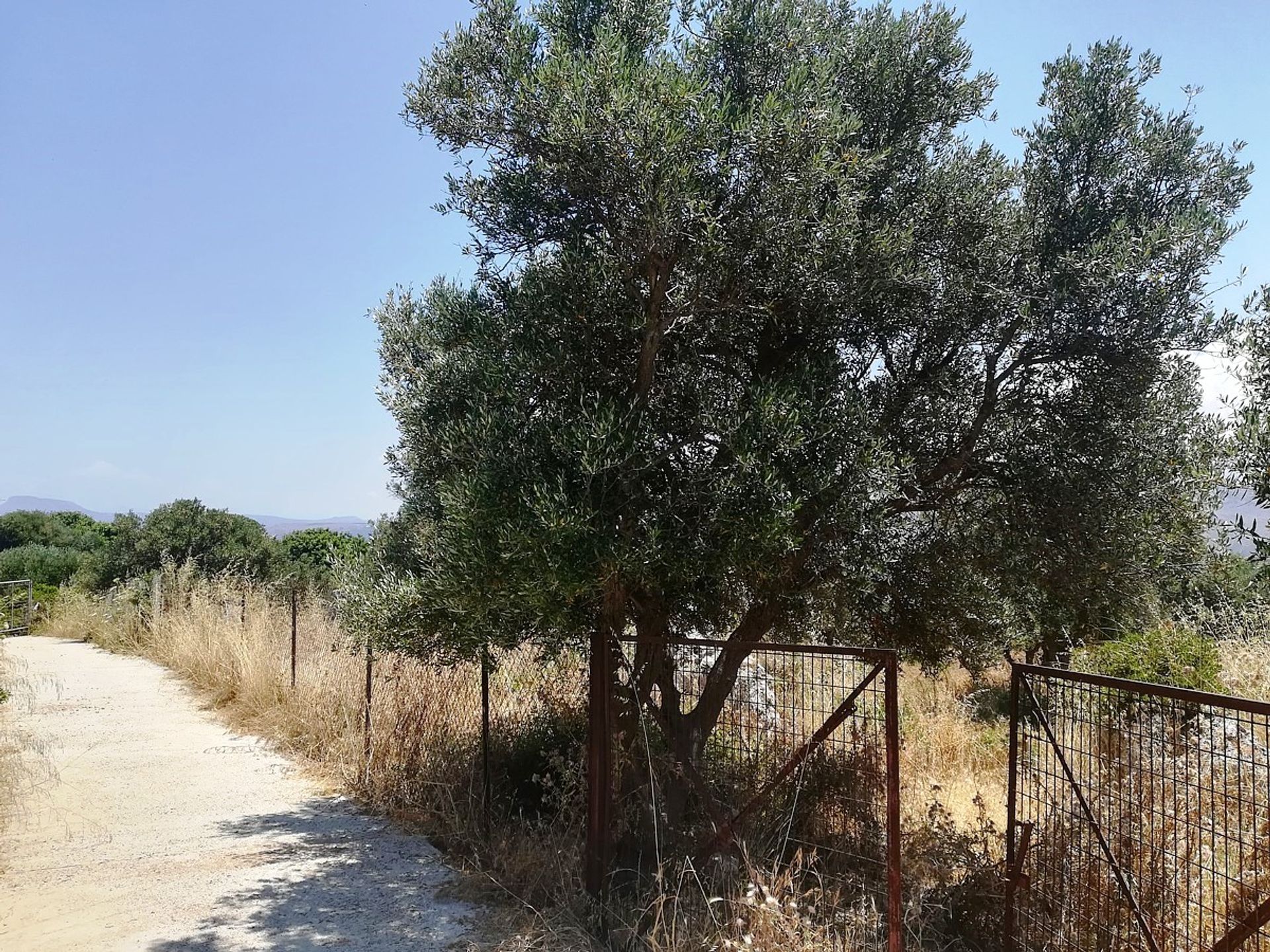 Land in Kounoupidiana,  10975696