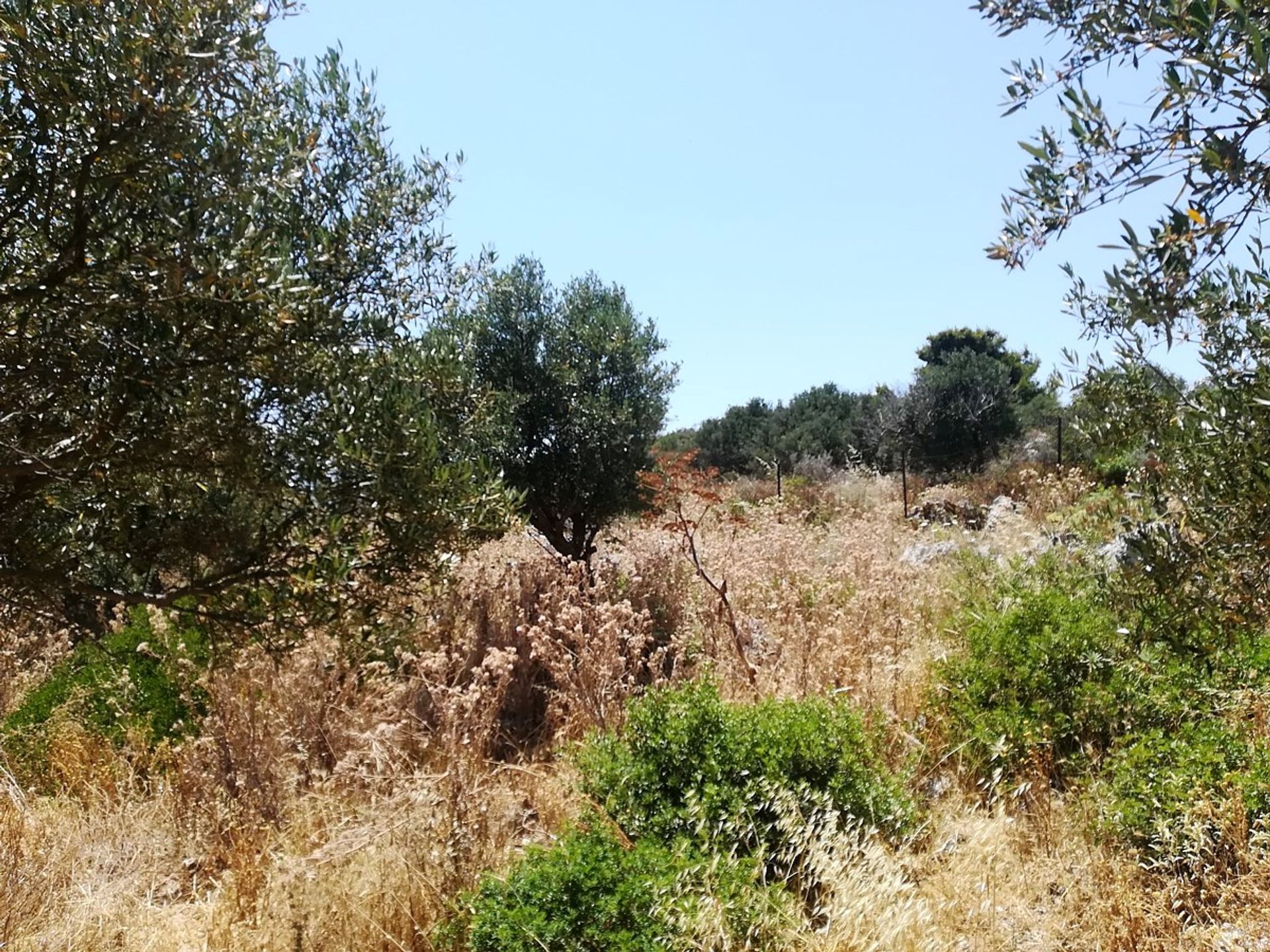 Land in Kounoupidiana,  10975696