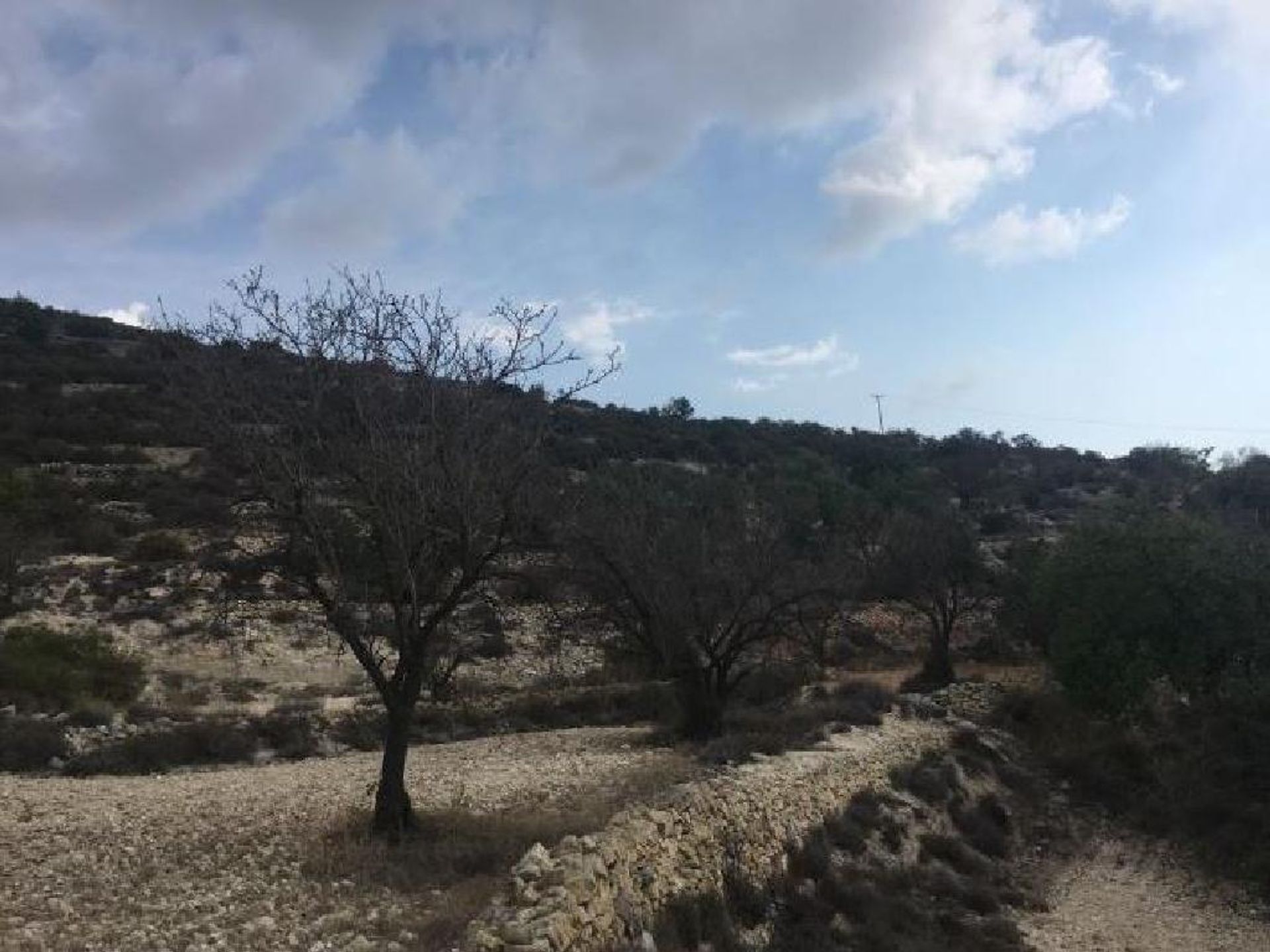 Land in Palodeia, Lemesos 10978340