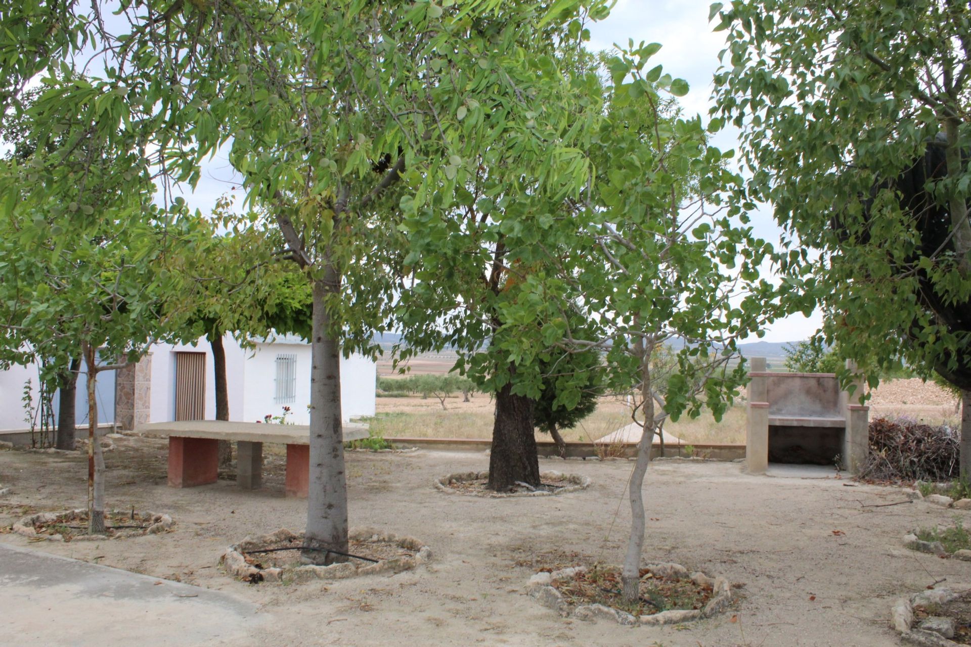 casa en Yecla, Región de Murcia 10978389