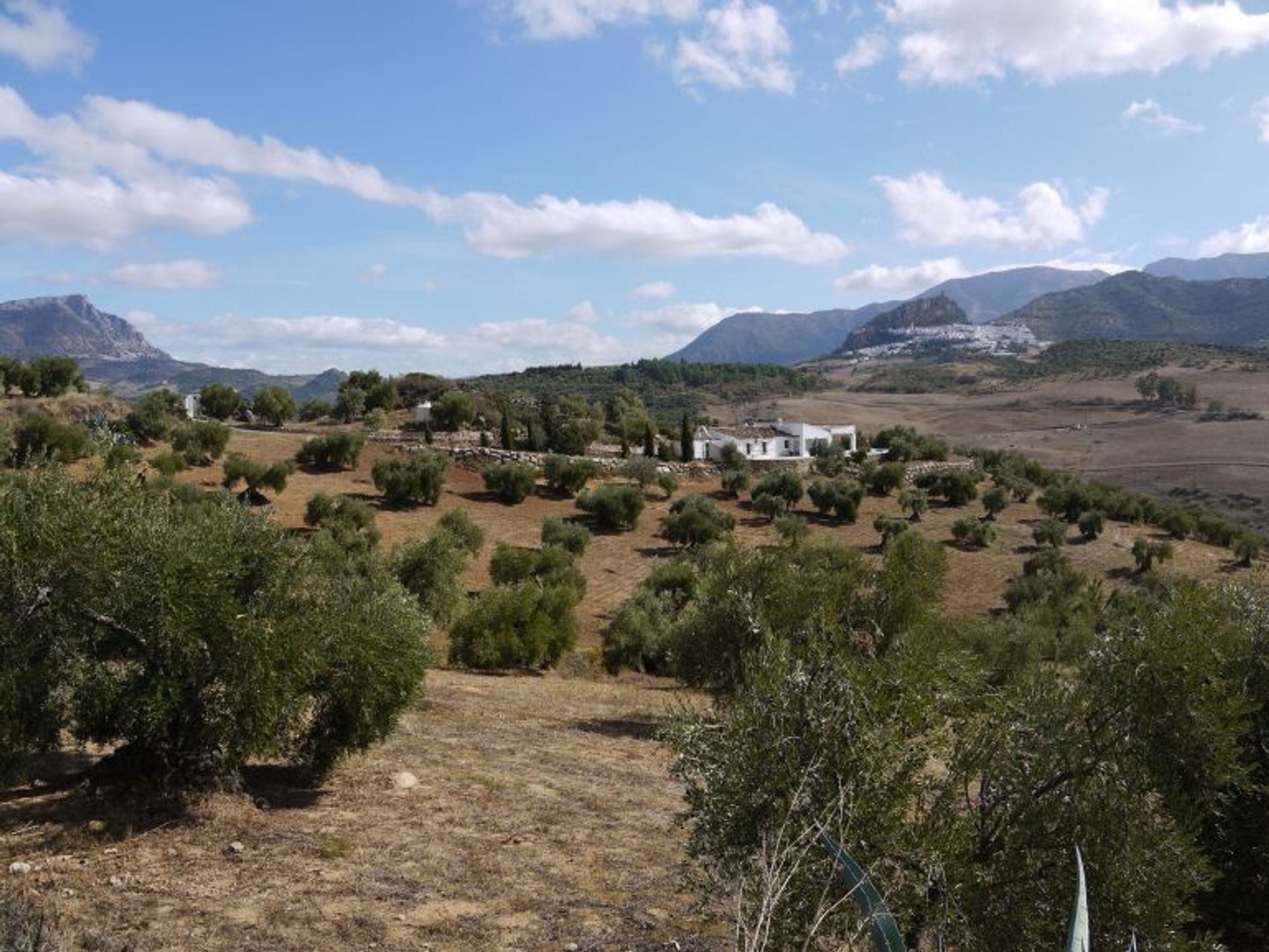 rumah dalam Algodonales, Andalucía 10978431