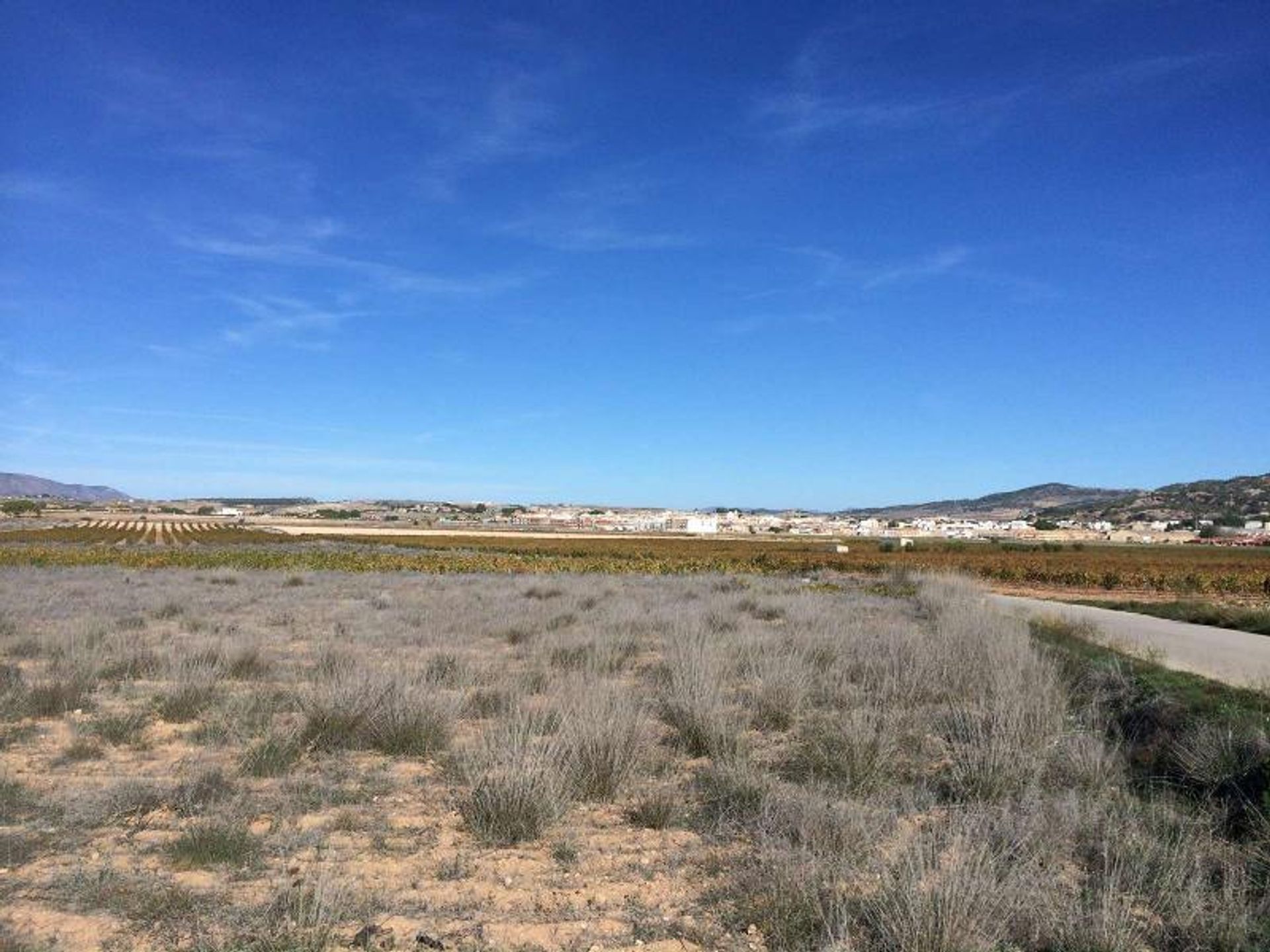 Land in Pinoso, Valencia 10978463