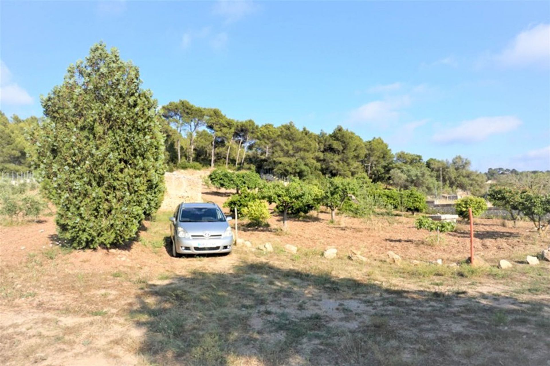 Land in Capdepera, Illes Balears 10978513