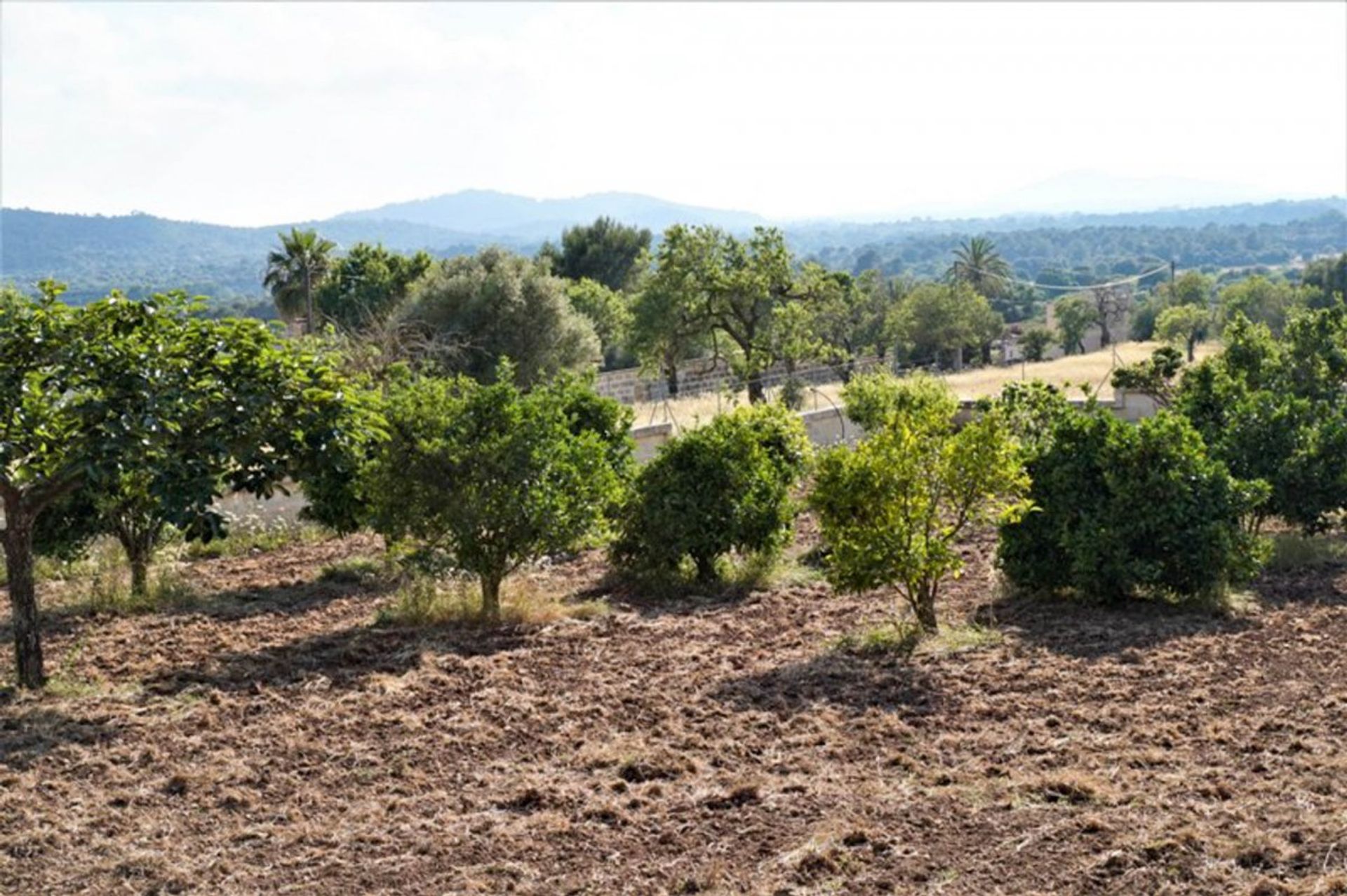 Terra no Capdepera, Ilhas Baleares 10978513