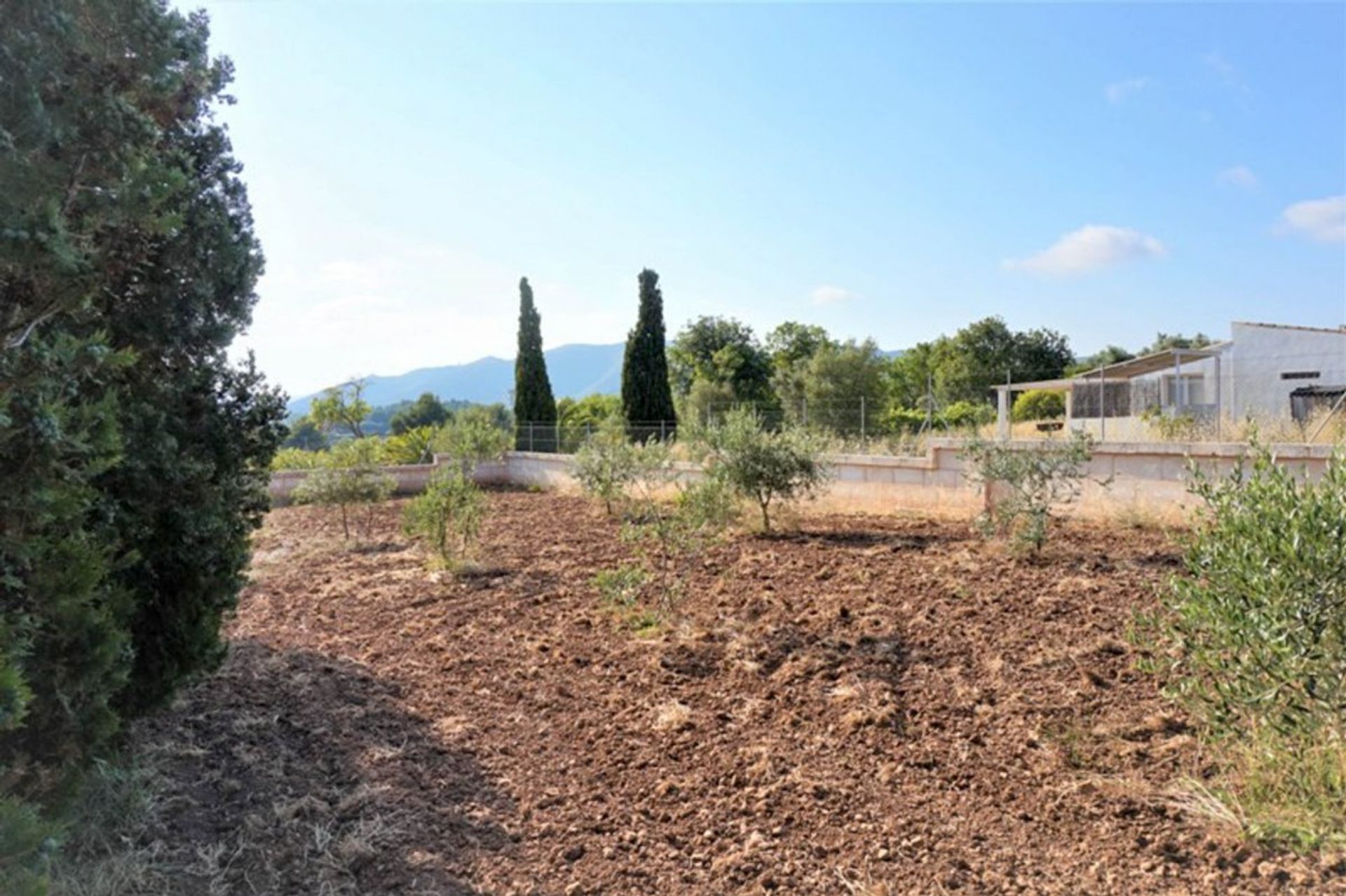 Land in Capdepera, Illes Balears 10978513