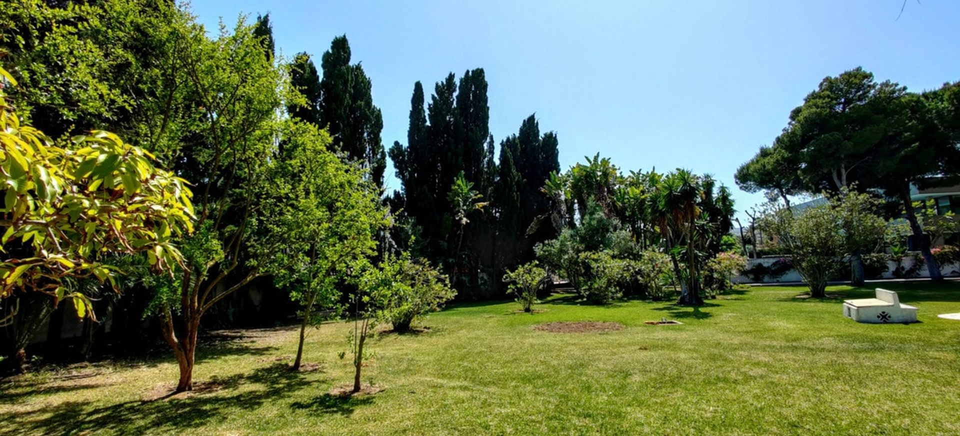 Terre dans San Pedro de Alcántara, Andalousie 10978645