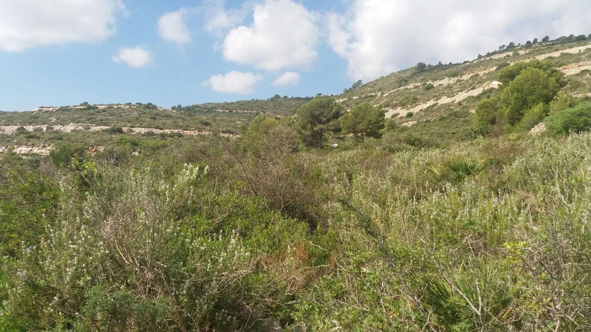 Land in Pedreguer, Valencia 10978672