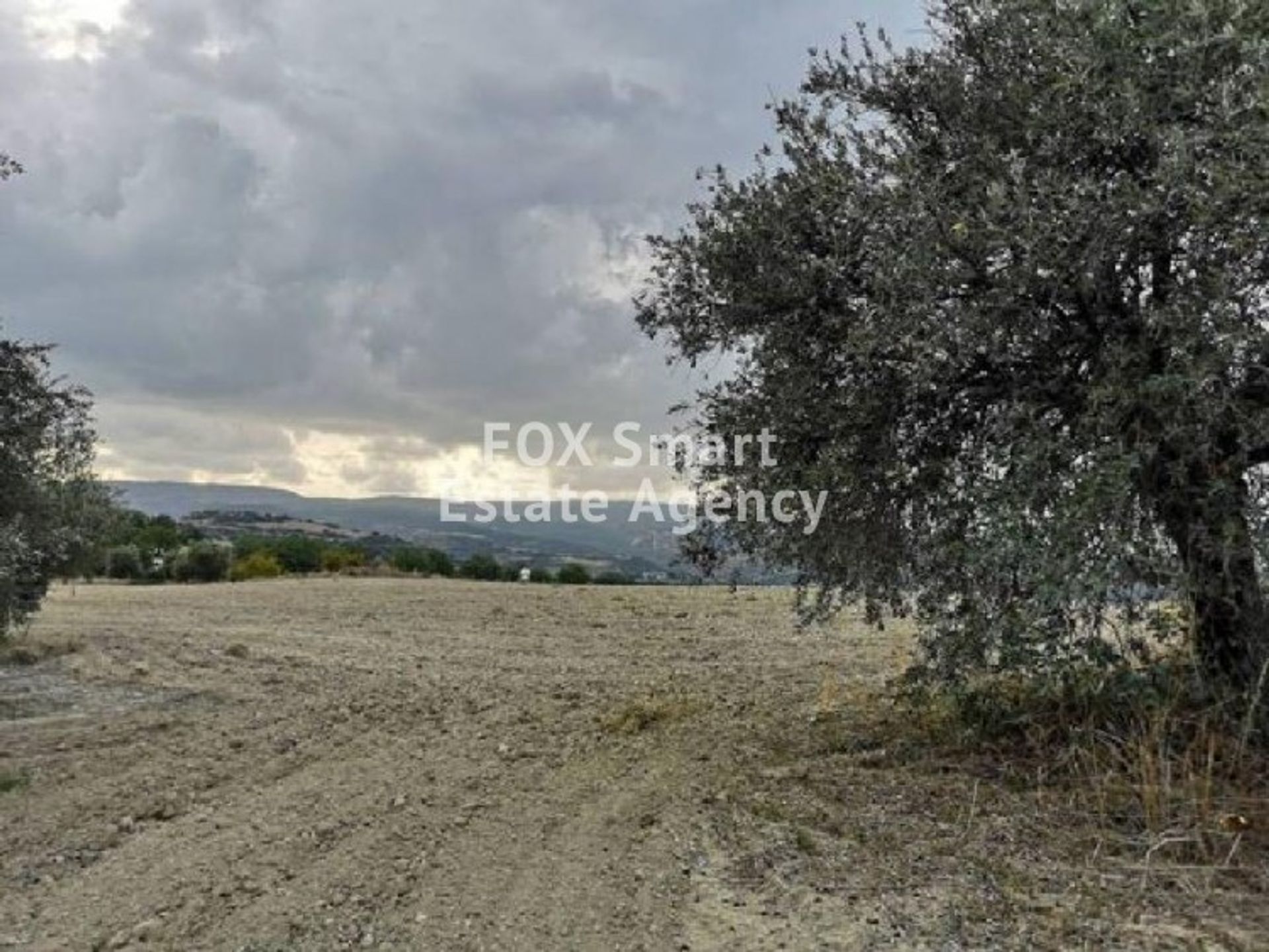 Land im Polis, Pafos 10978817