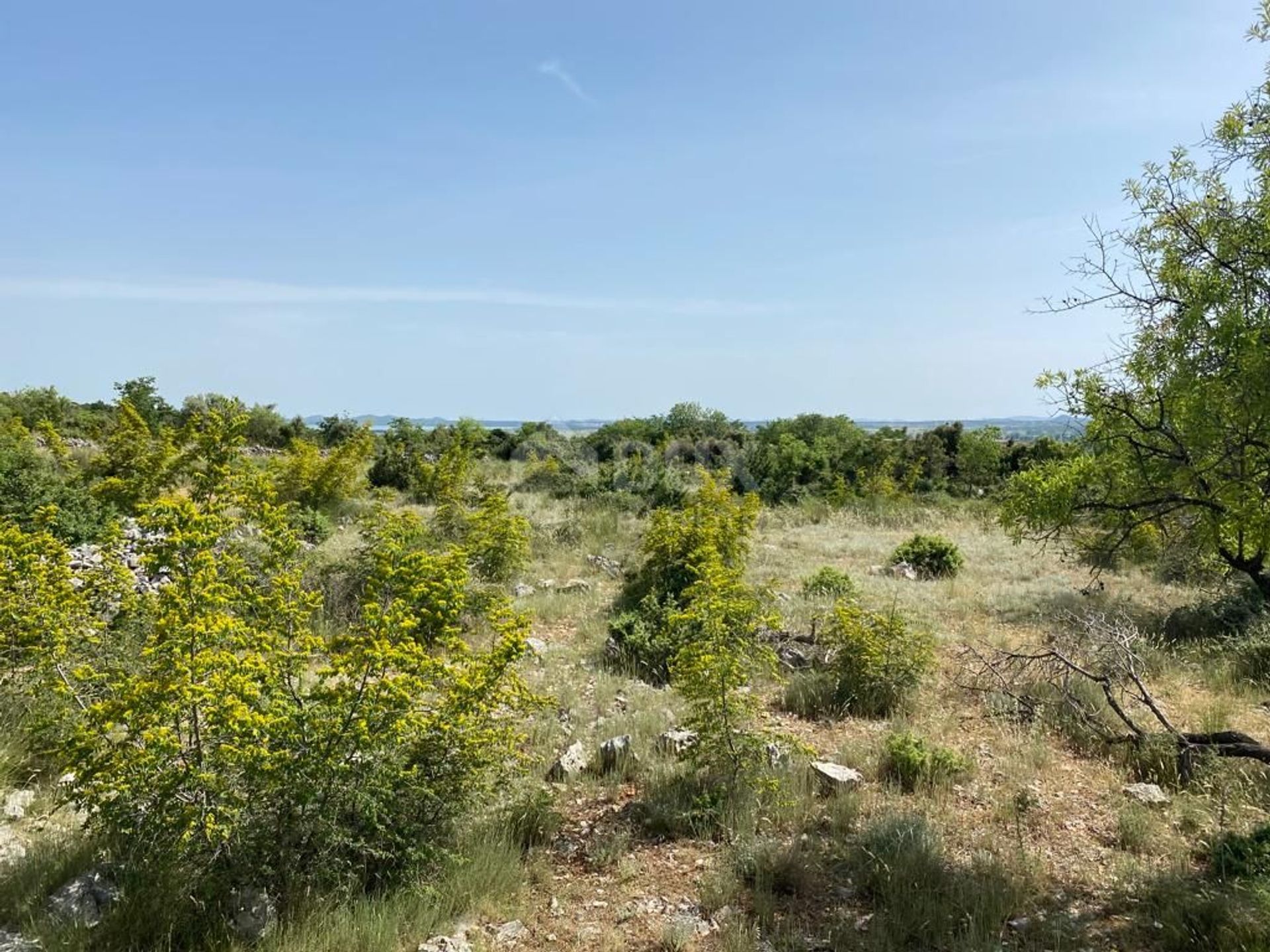 Land in Polaca, Zadarska Zupanija 10979210