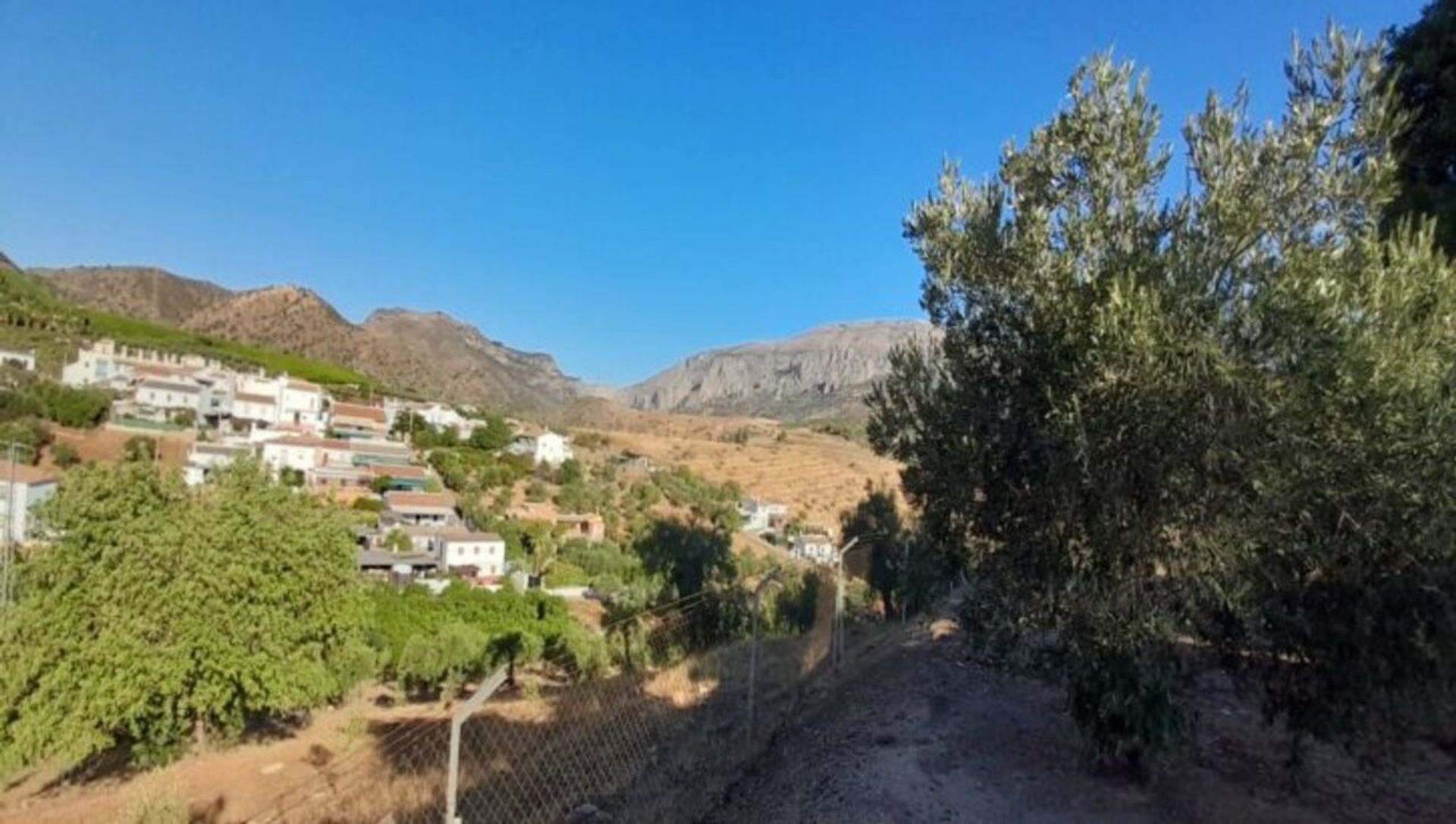 Будинок в Bermejo, Andalucía 10980017