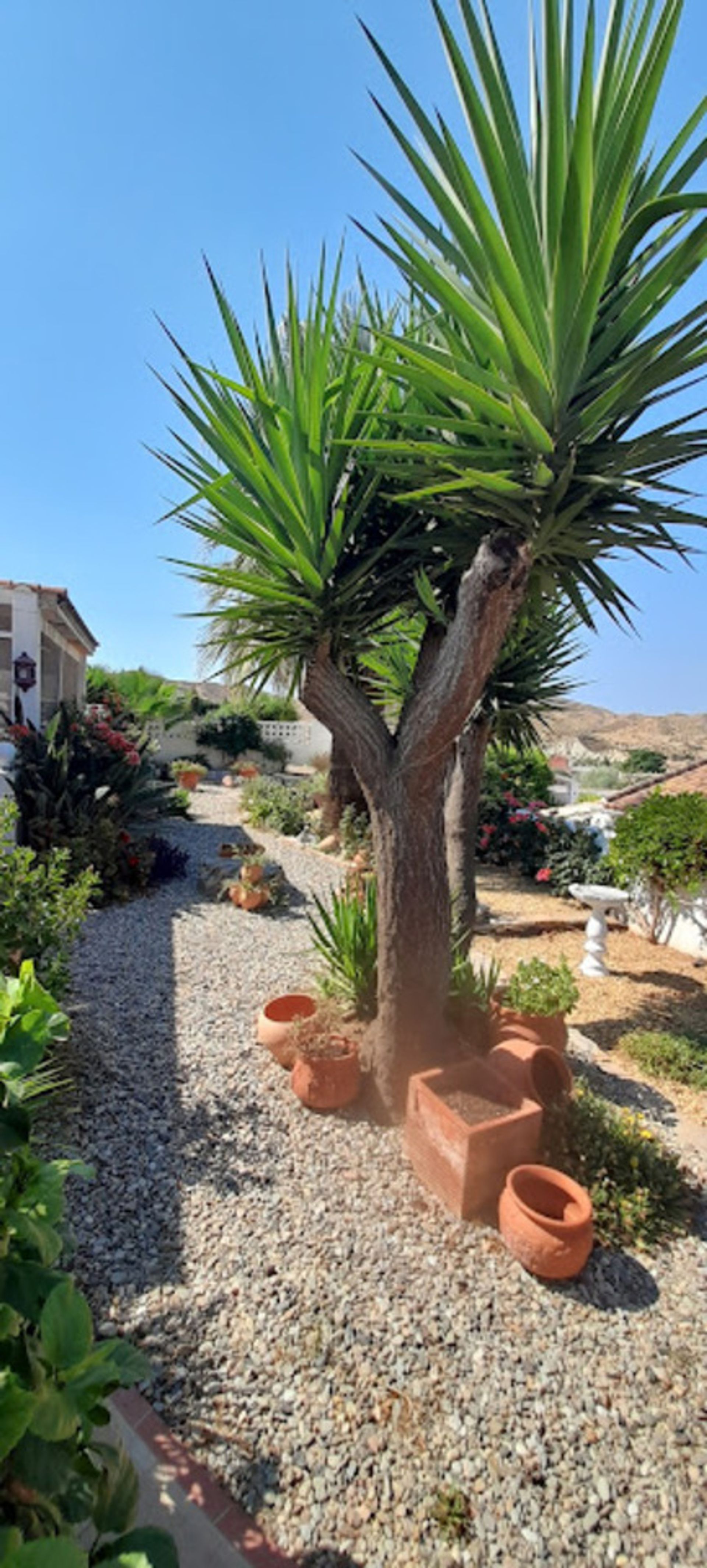 House in Urrácal, Andalucía 10980124