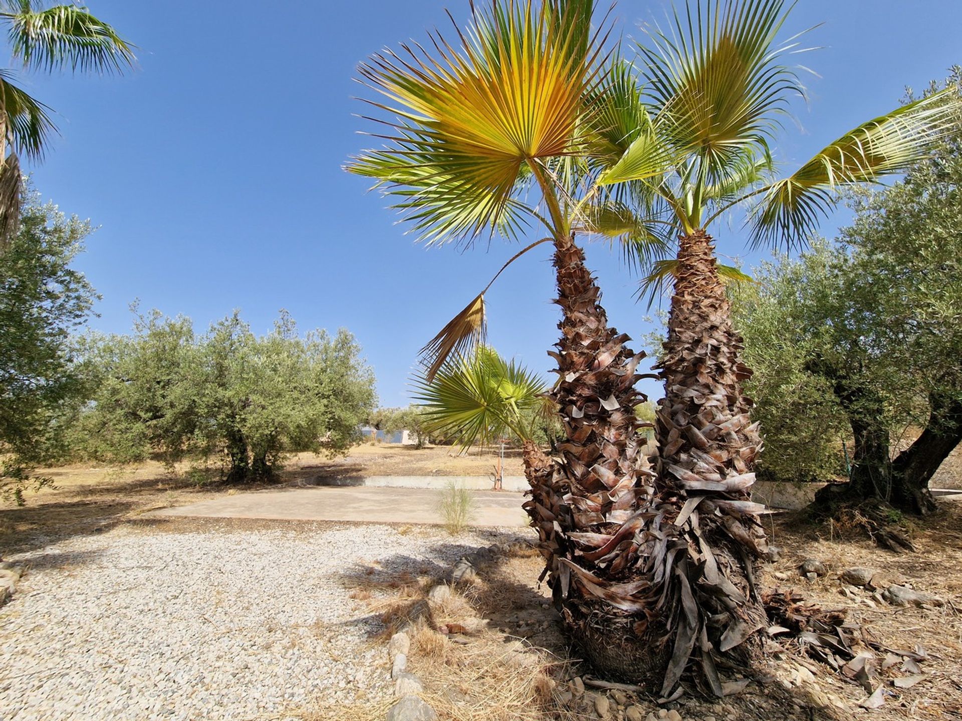 Dom w Viñuela, Andalucía 10980256