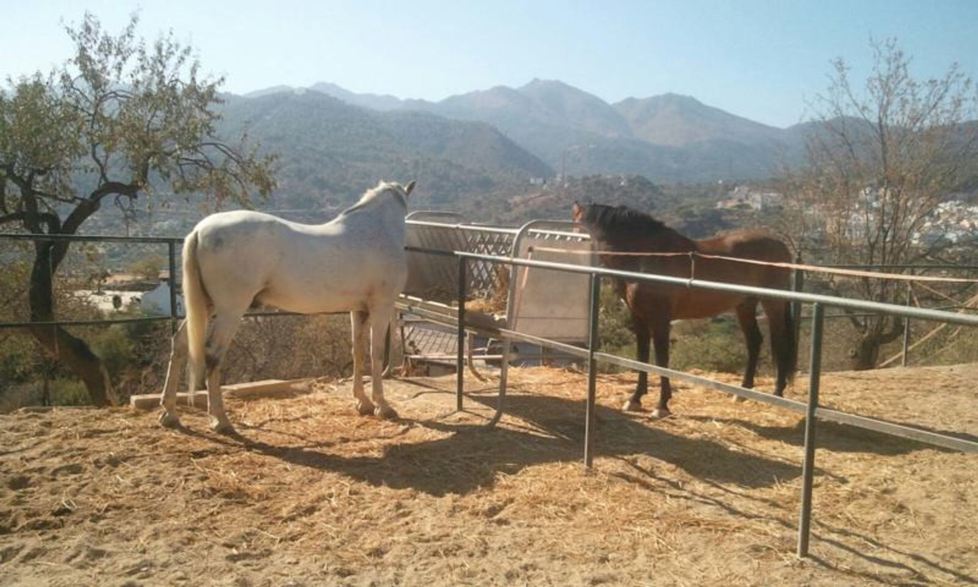 Huis in Alhaurín el Grande, Andalucía 10980523