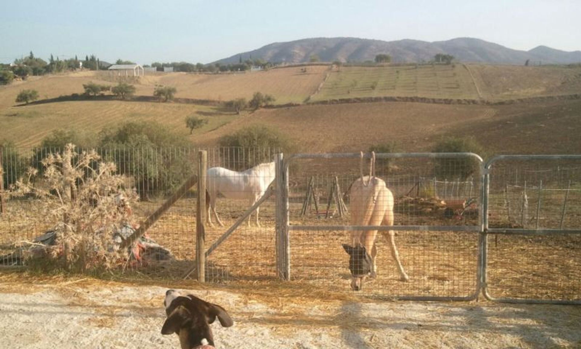 Hus i Alhaurin el Grande, Andalusia 10980523