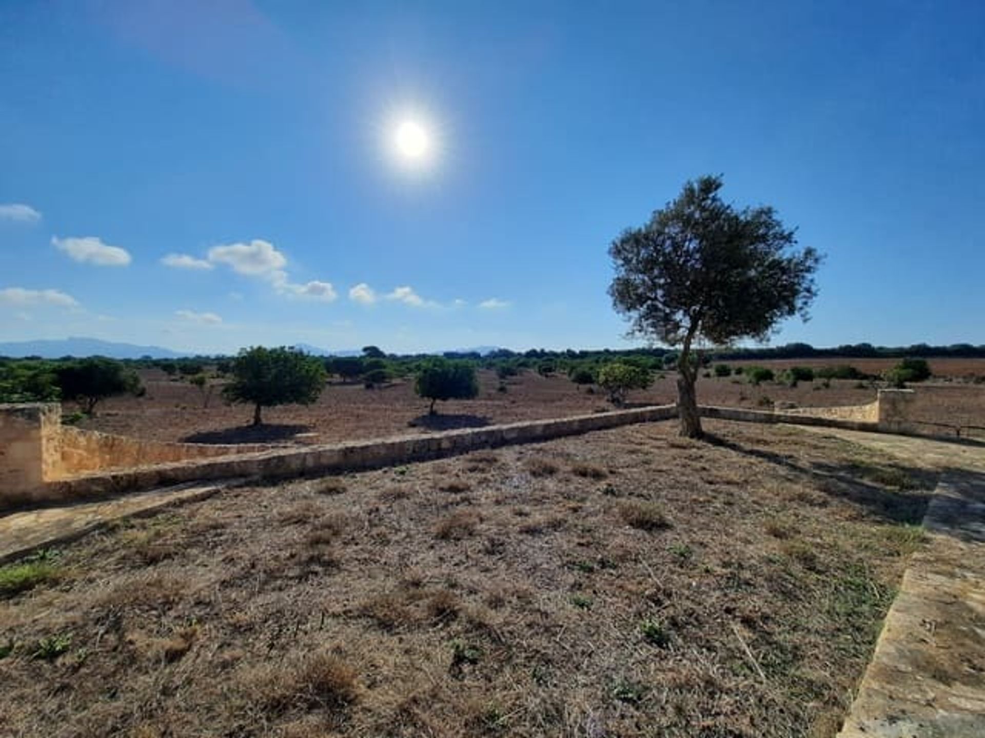 Land in Santa Margarita, Balearic Islands 10980930