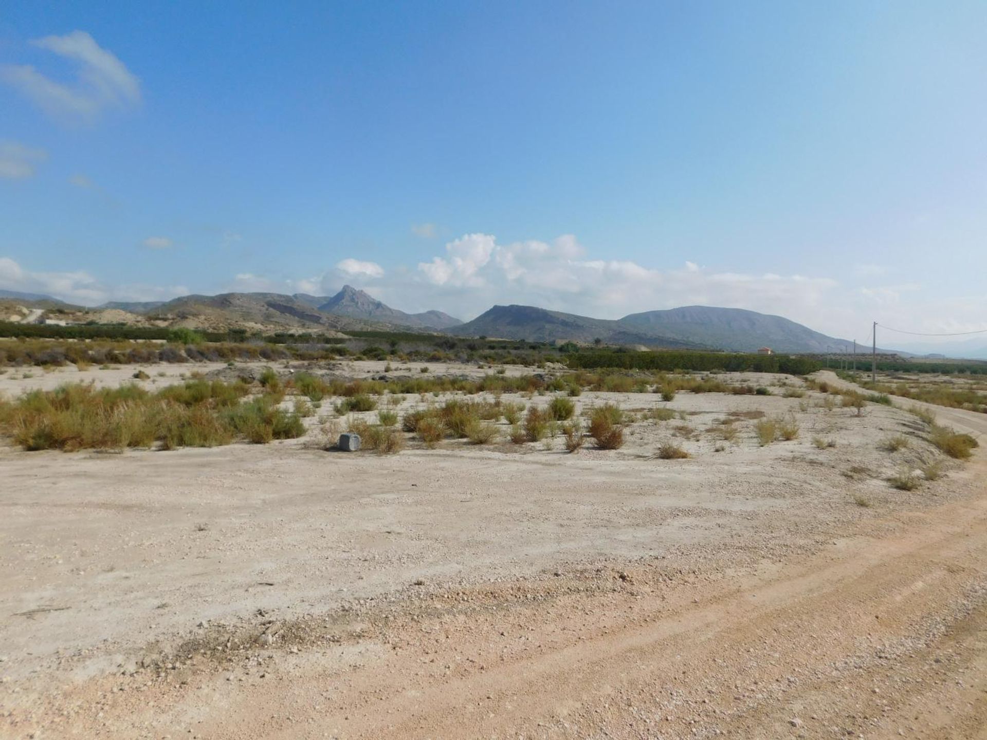 Land in Alicante (Alacant), Comunidad Valenciana 10981566