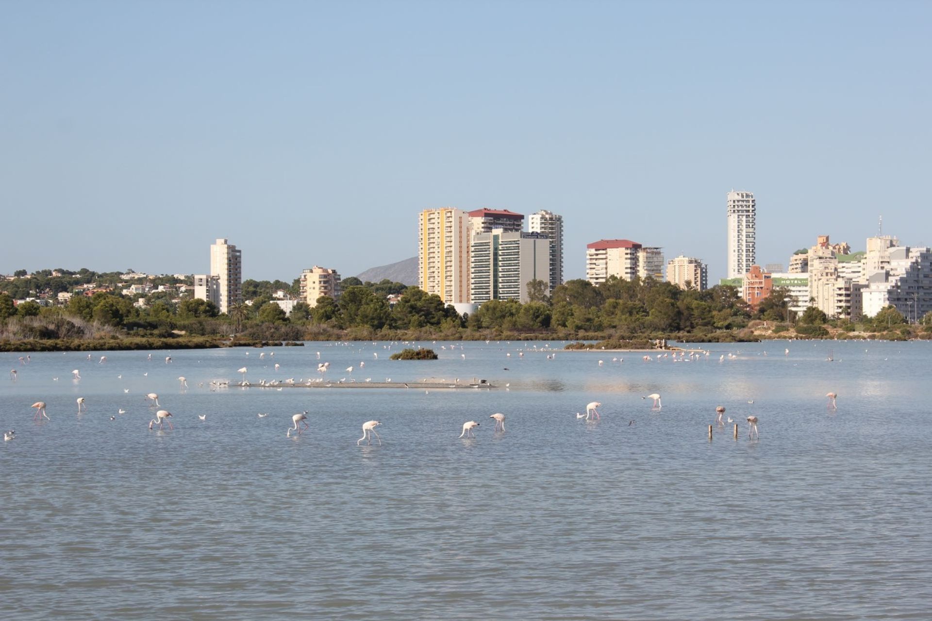 Квартира в Calpe, Comunidad Valenciana 10982567