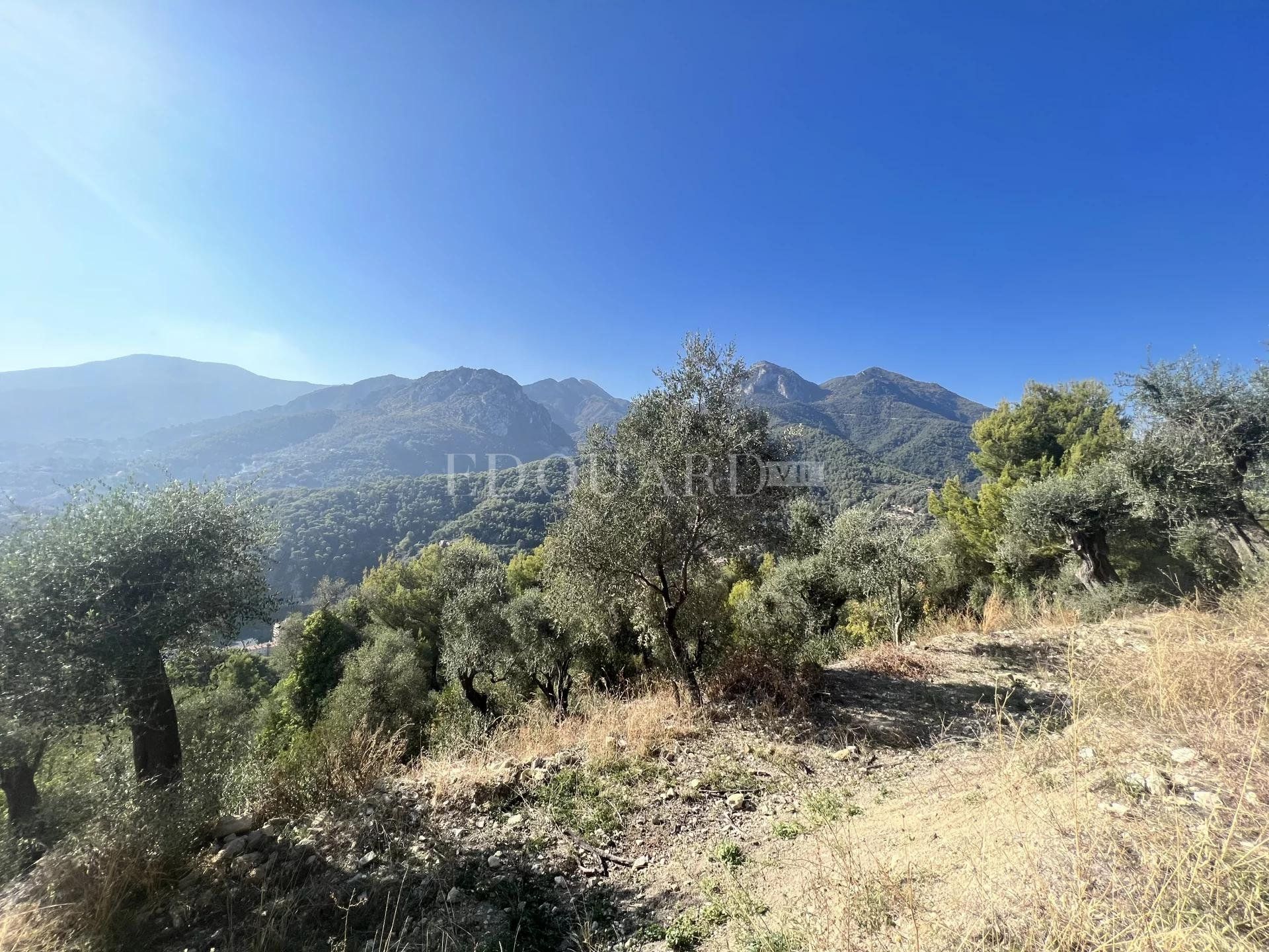 मकान में Castellar, Provence-Alpes-Côte d'Azur 10988194