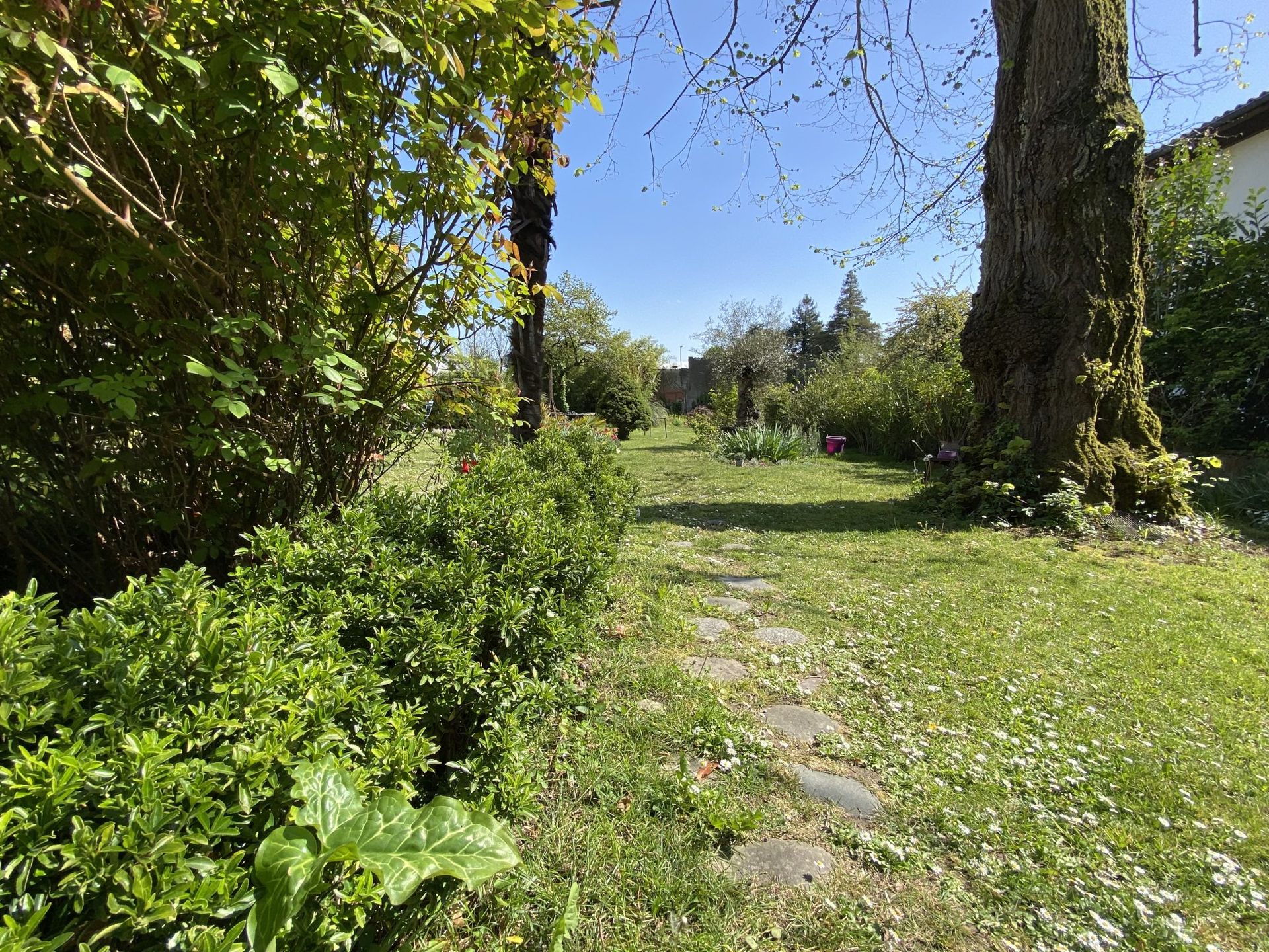 Hus i Saint-Gaudens, Occitanie 10988422