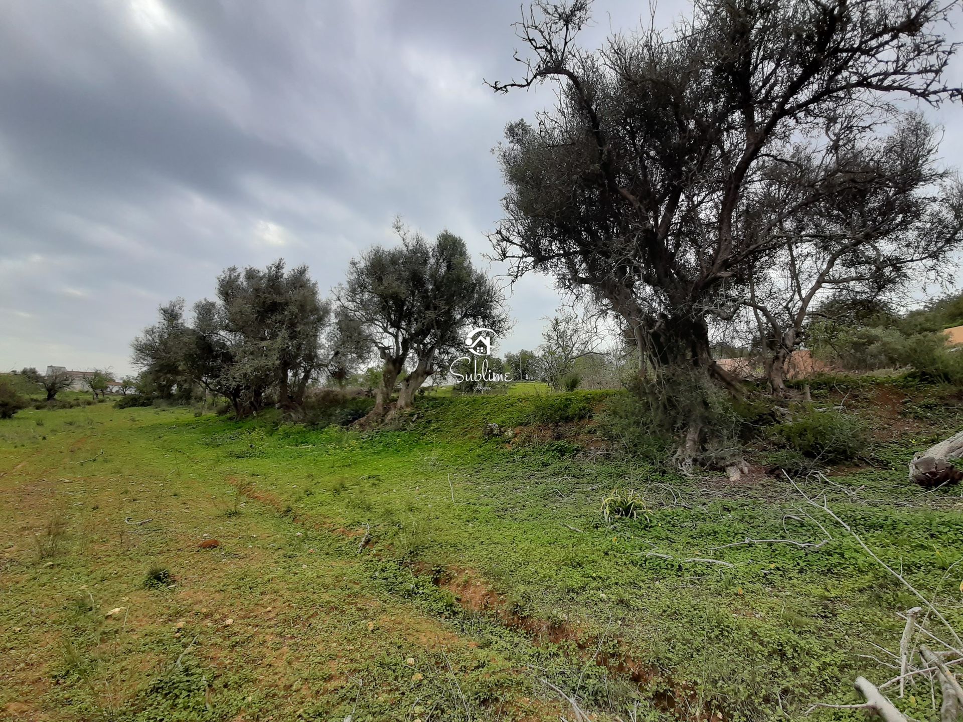 土地 在 Armação de Pêra, Faro 10988477