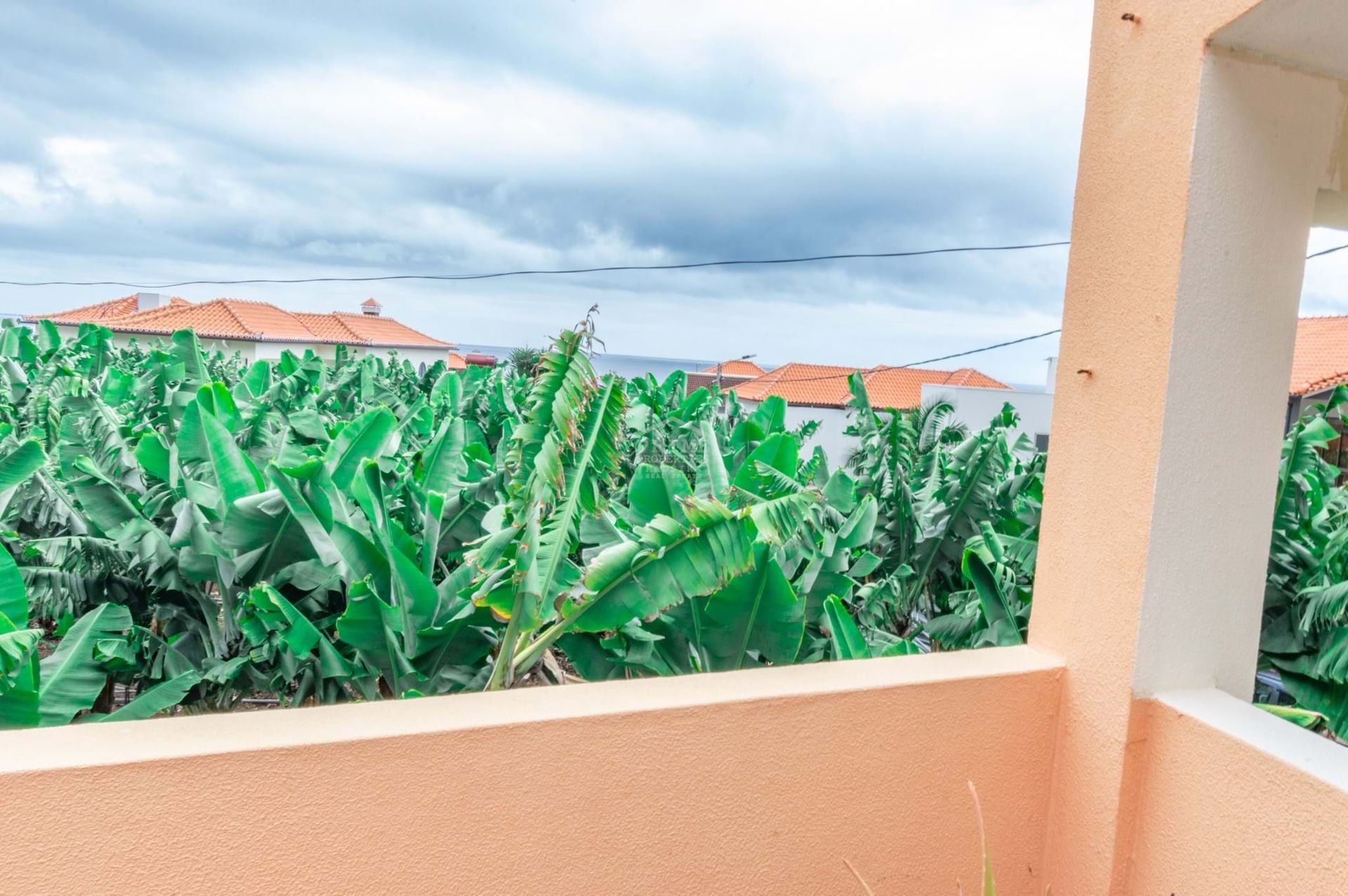 casa en Reloj del Poiso, Madeira 10988525