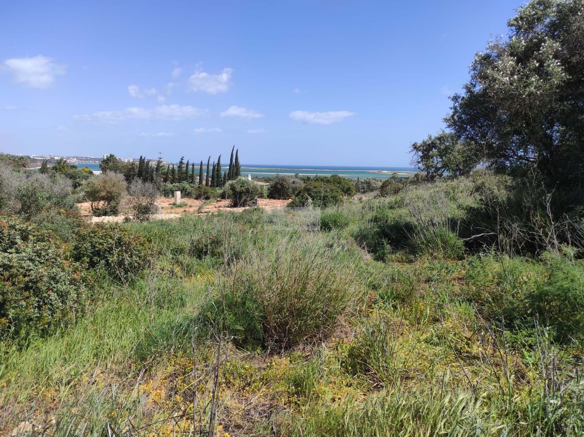 Land in , Faro 10988536