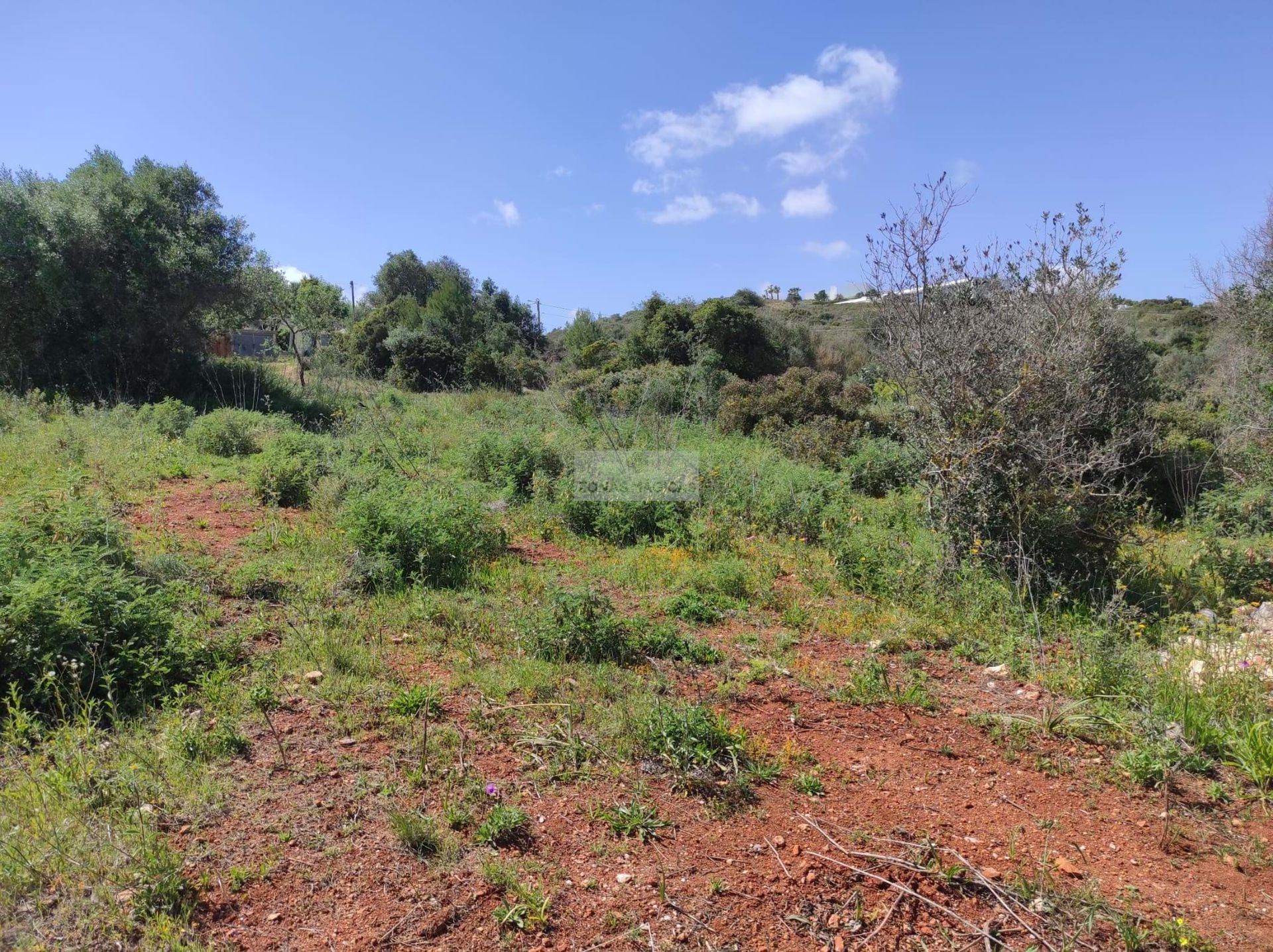 Land in , Faro 10988536