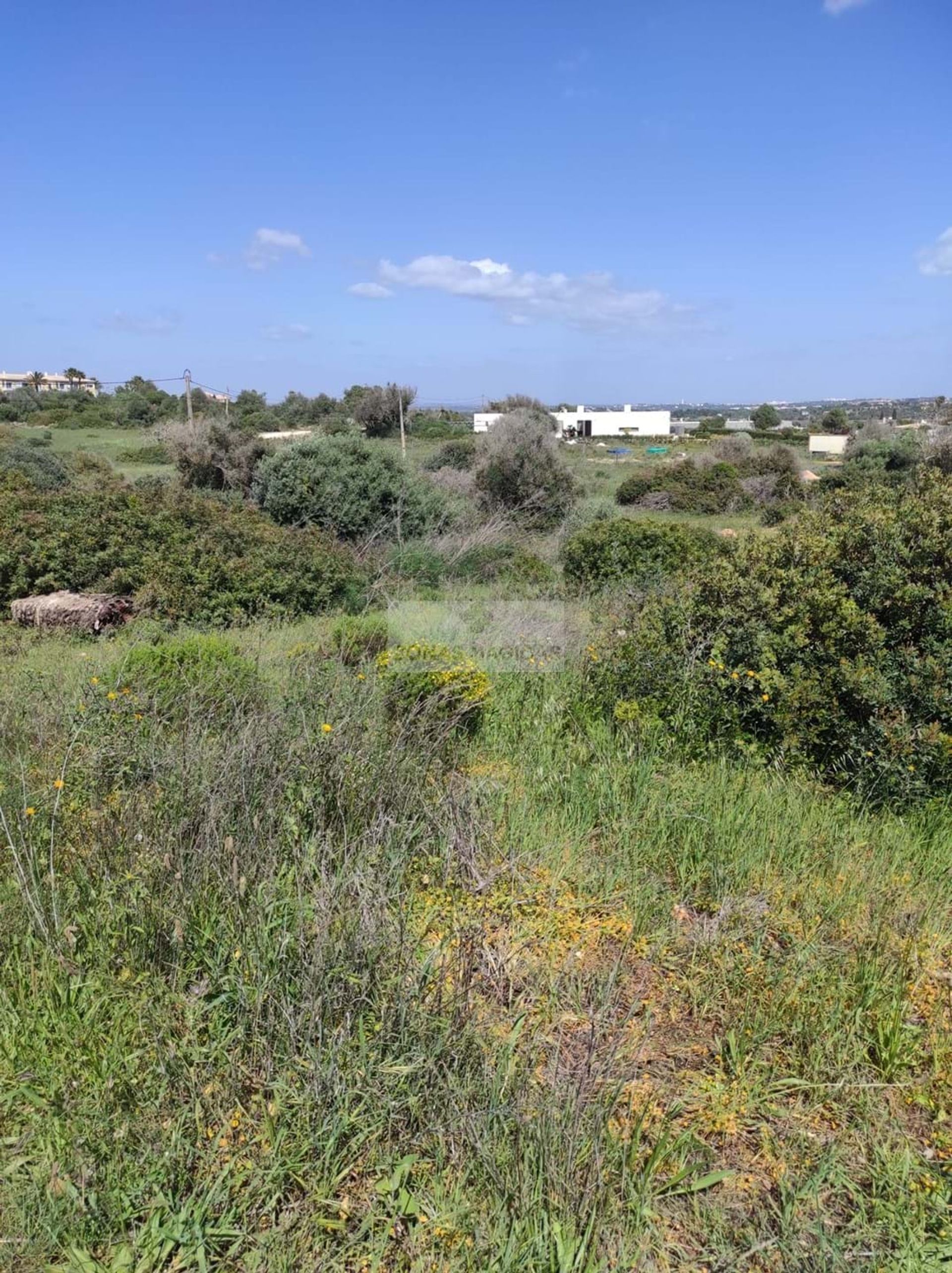 Land in , Faro 10988536