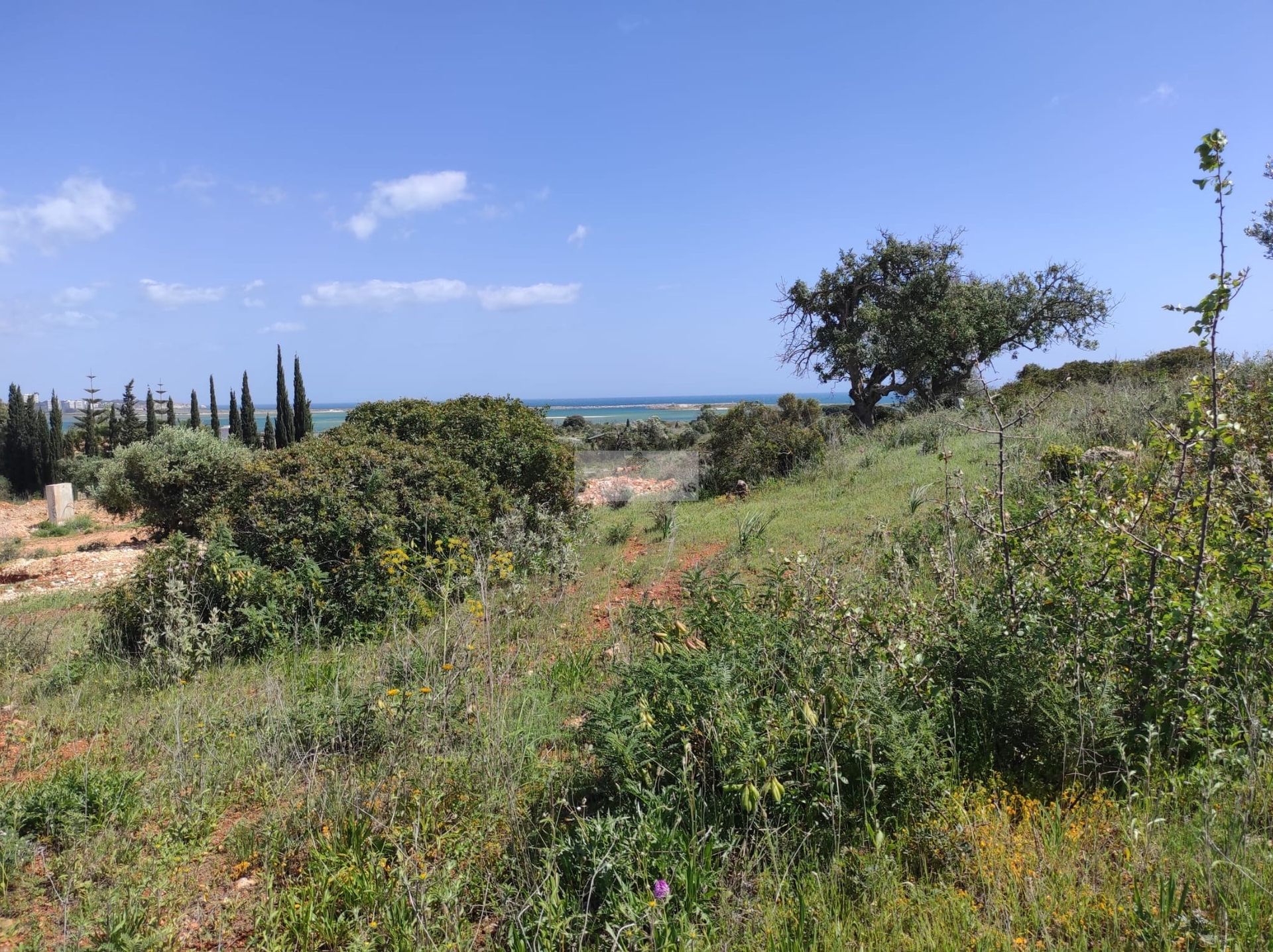 Land in , Faro 10988536