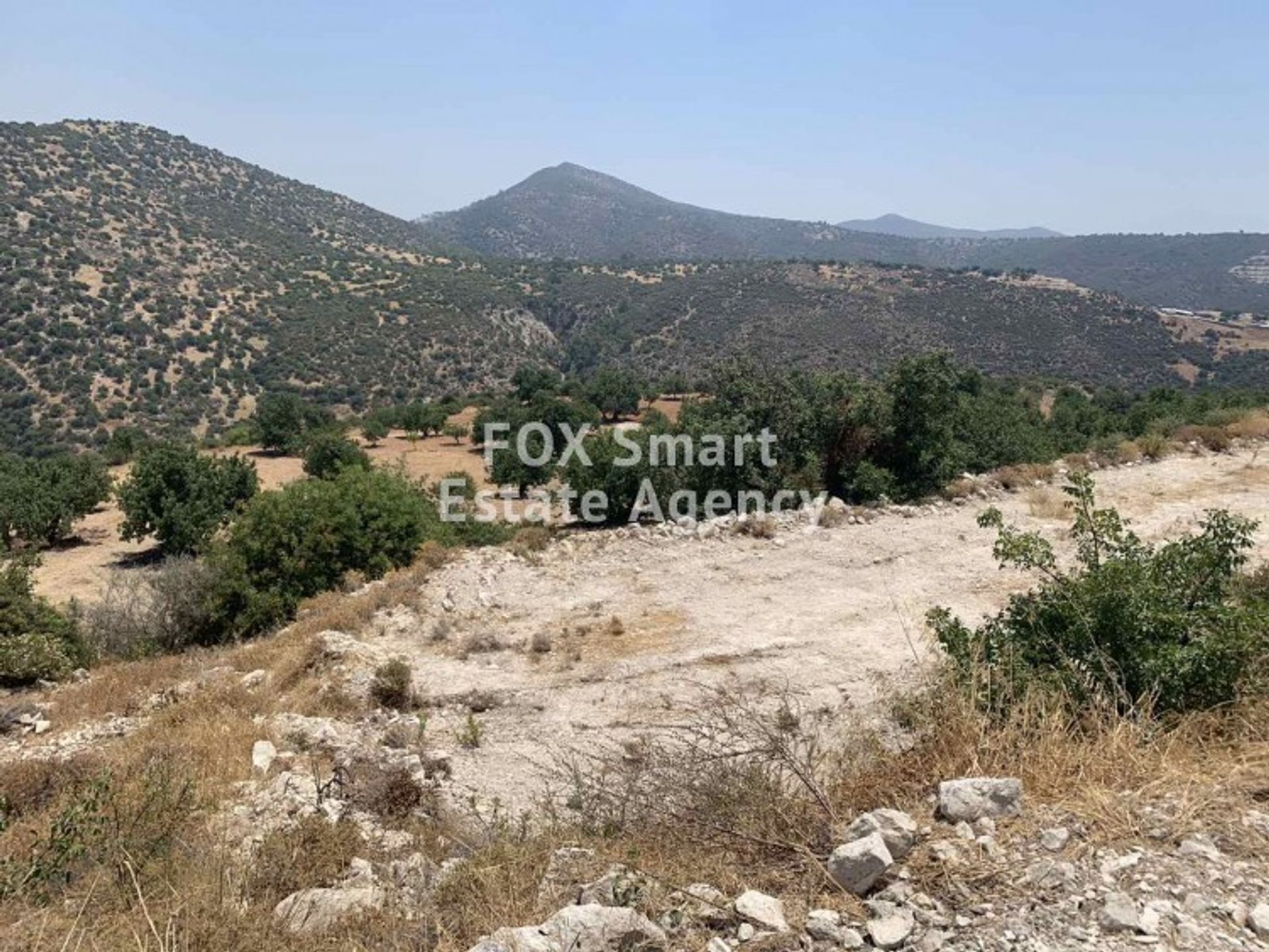 Land in Palodeia, Lemesos 10988780