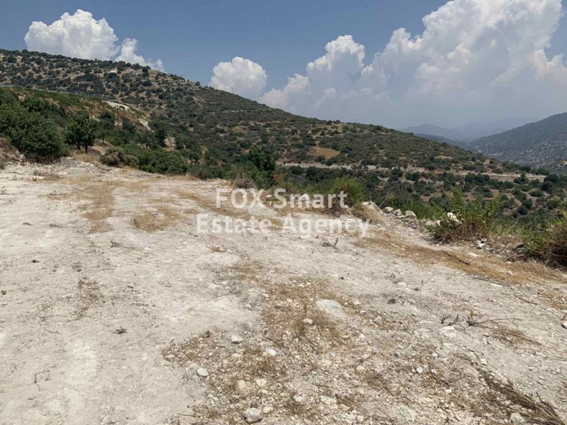 Land in Palodeia, Lemesos 10988780