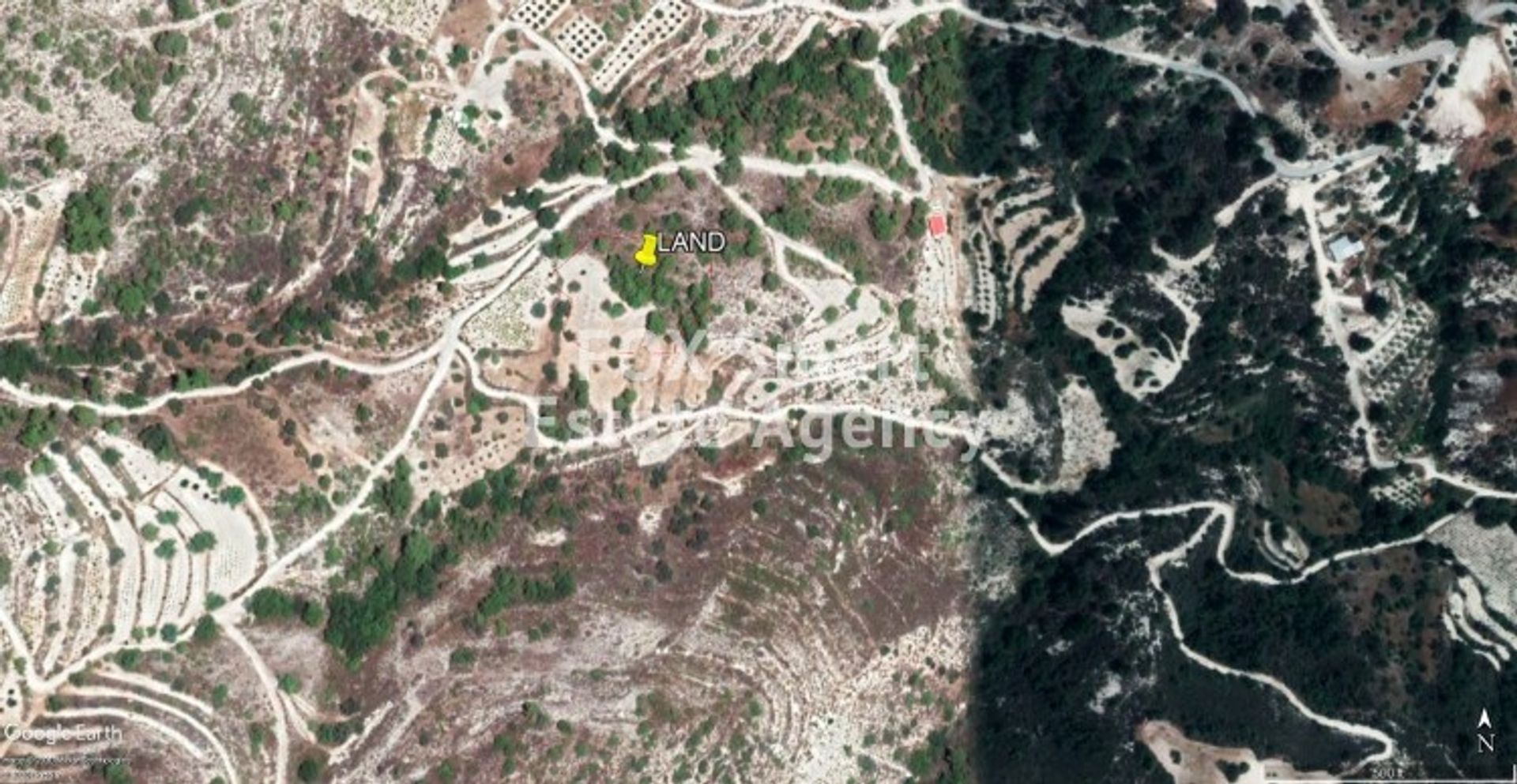 Land im Palodeia, Lemesos 10988780