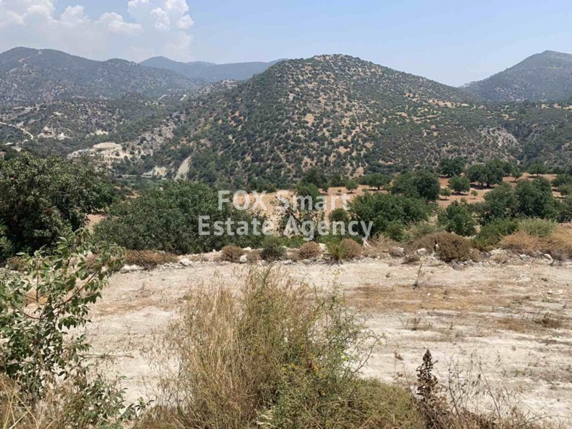 Land in Palodeia, Lemesos 10988780