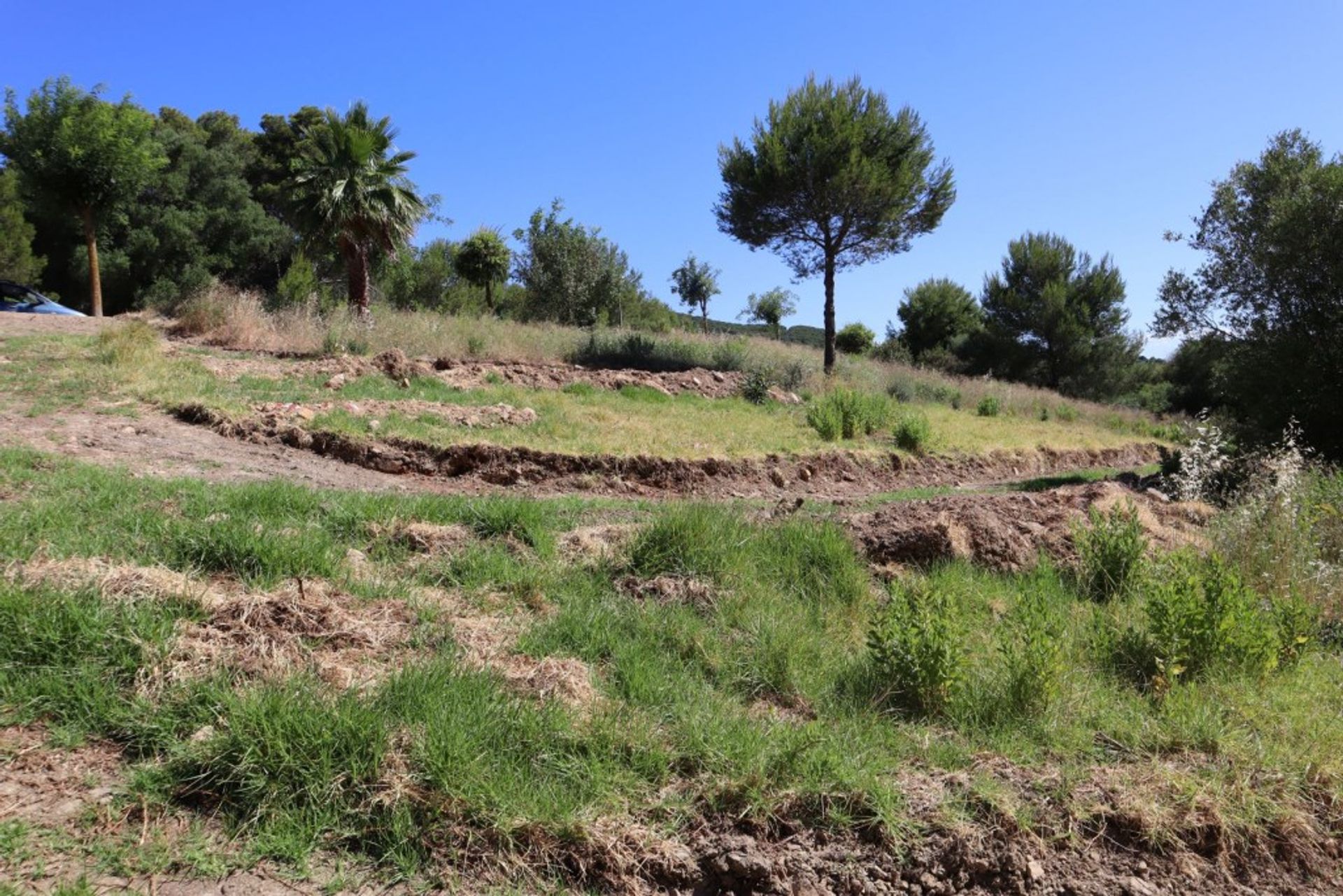 Земля в San Roque, Andalucía 10988831