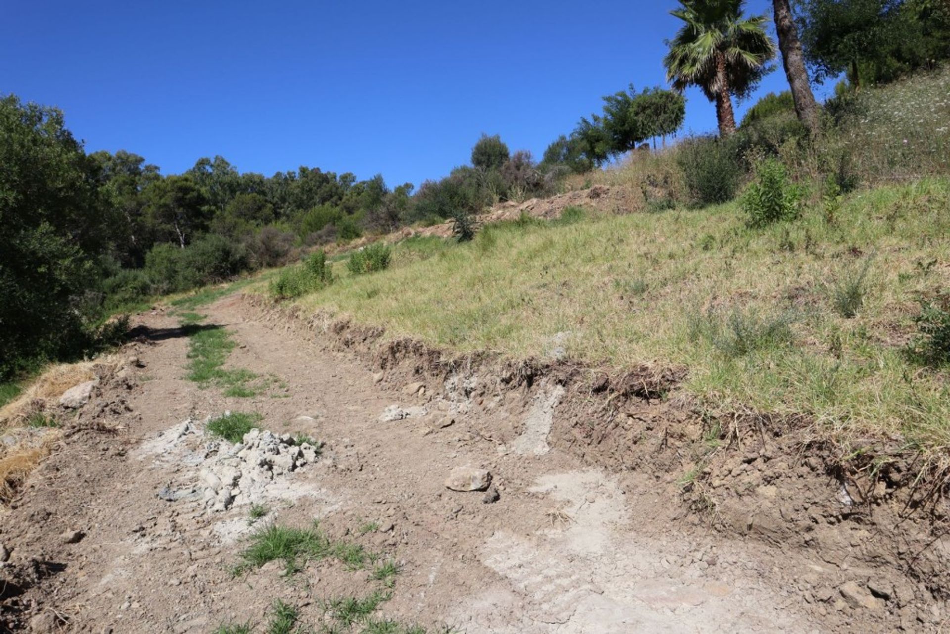 Земля в San Roque, Andalucía 10988831