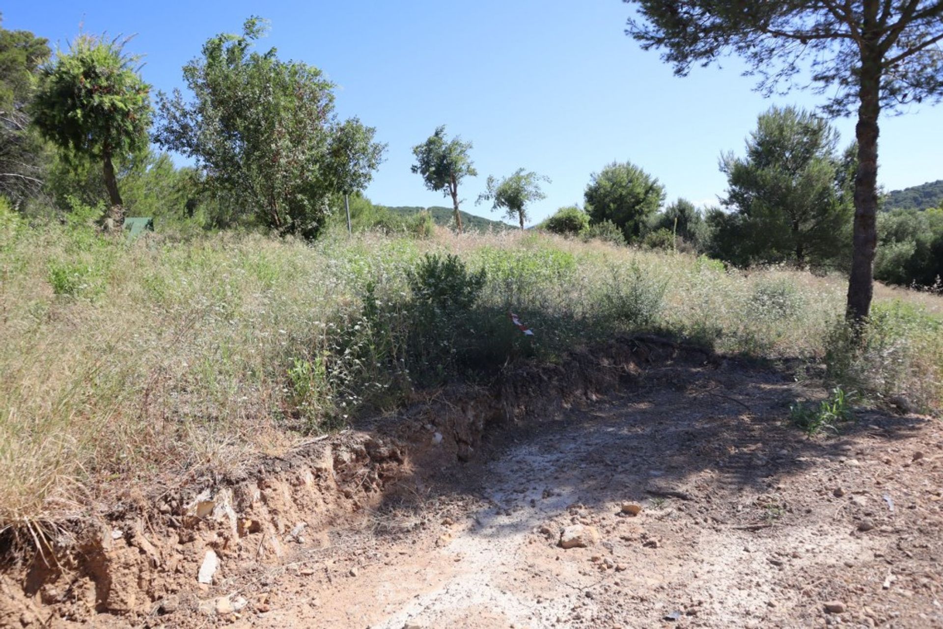 Земля в San Roque, Andalucía 10988831