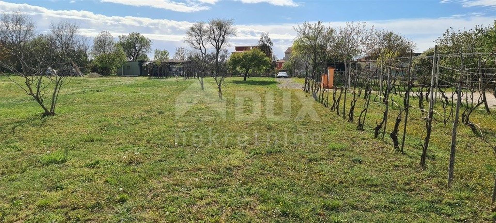 Land in Fazana, Istarska Zupanija 10989031