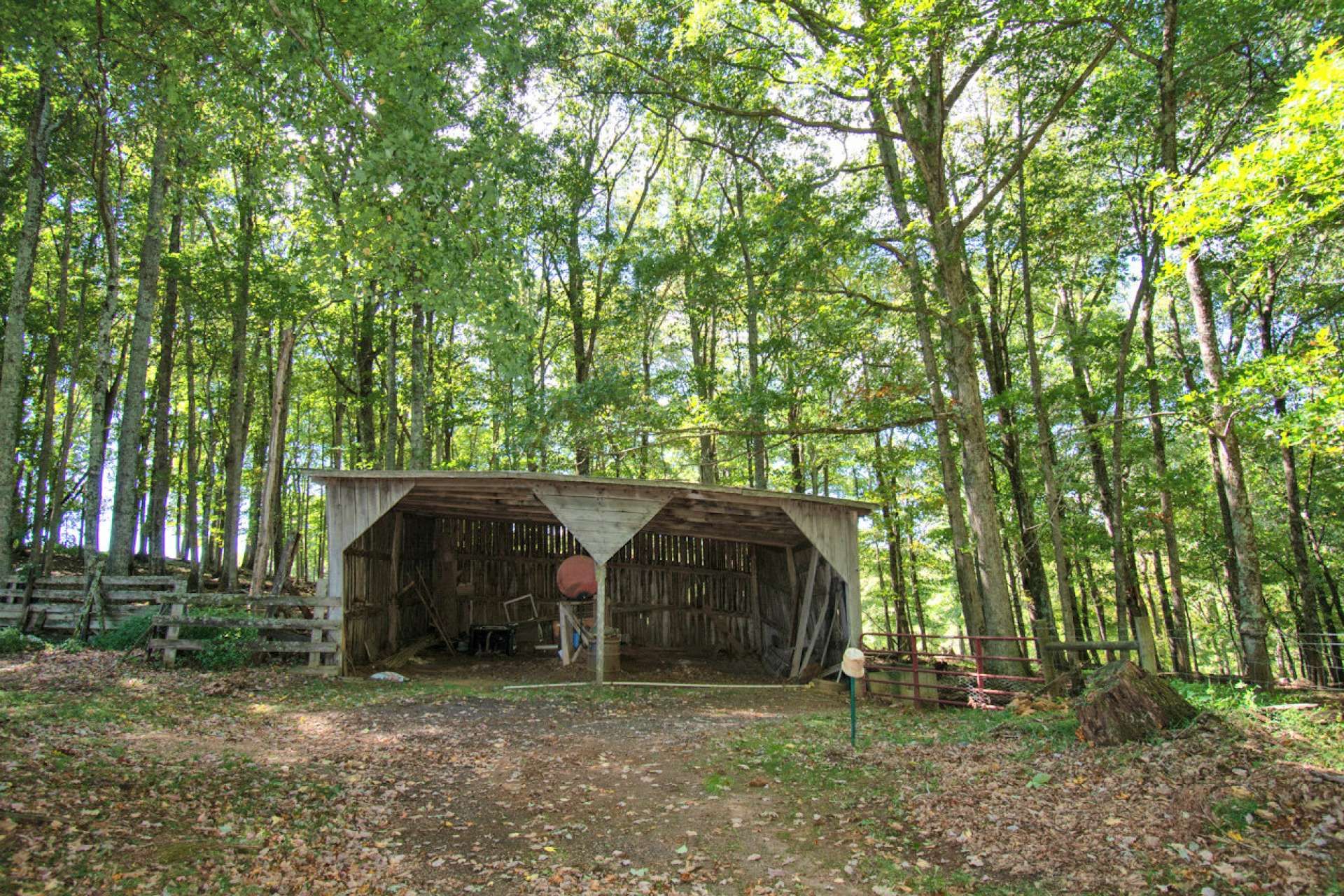 Casa nel Todd, North Carolina 10990863