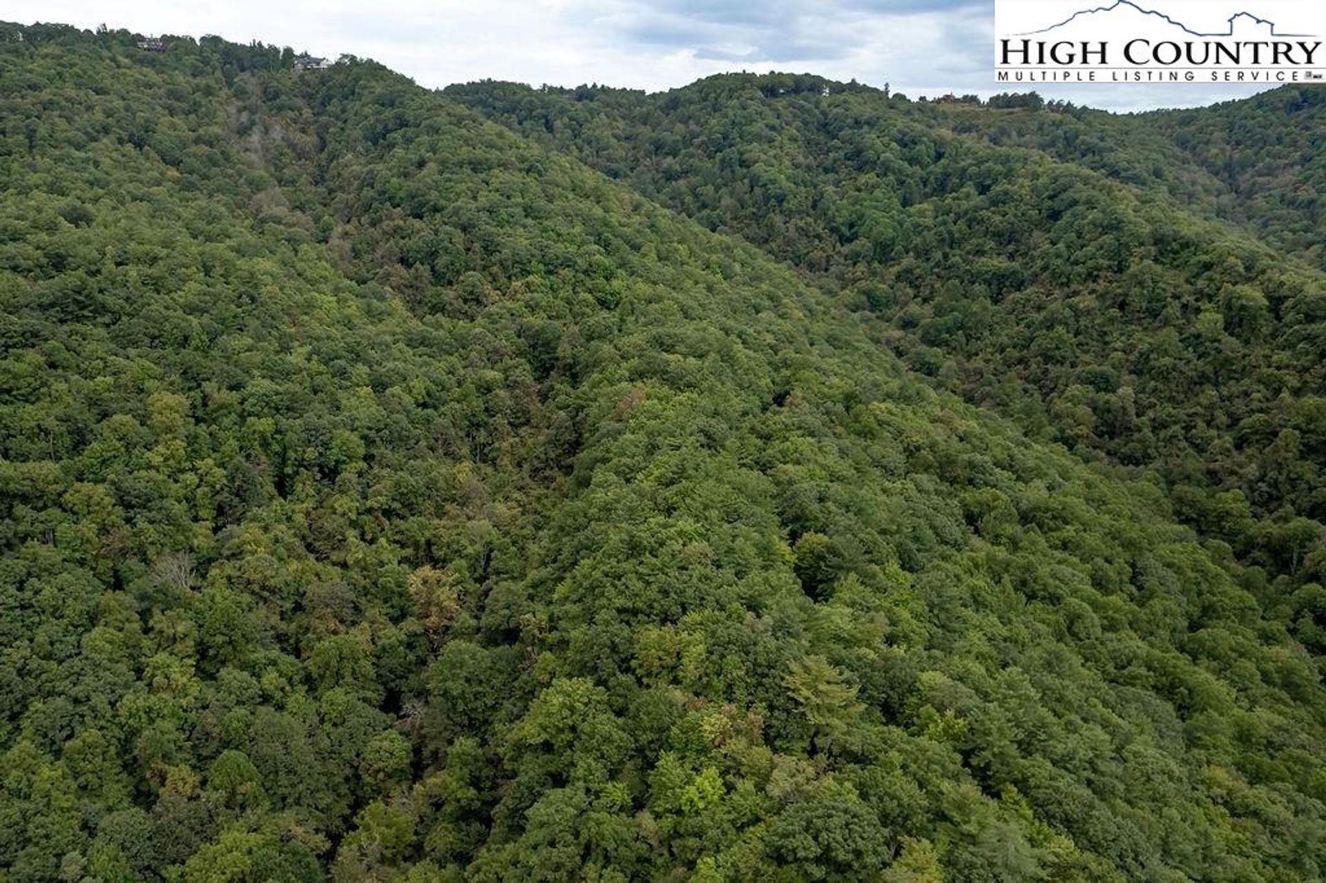 सम्मिलित में Bamboo, North Carolina 10990893