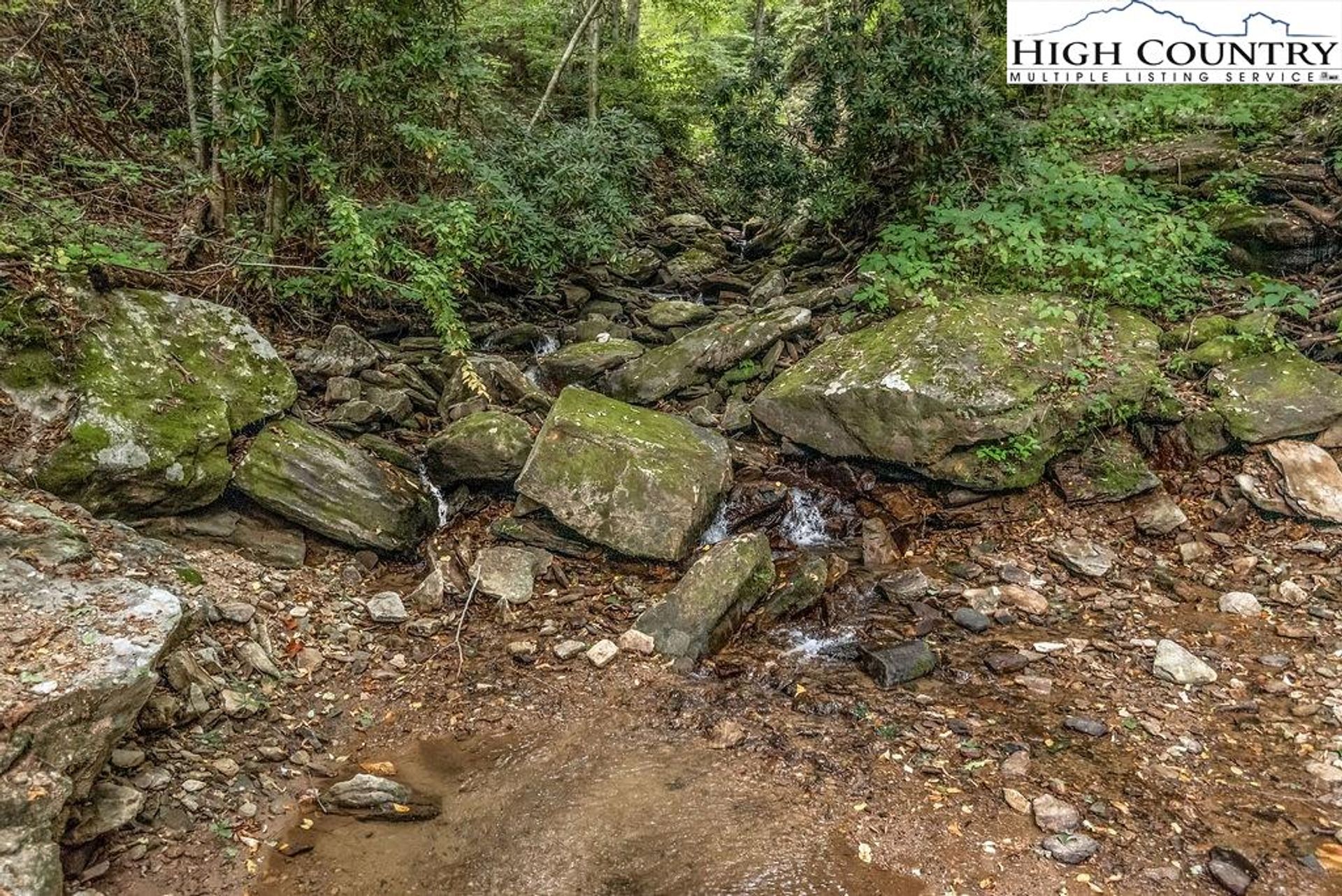 Συγκυριαρχία σε Bamboo, North Carolina 10990893